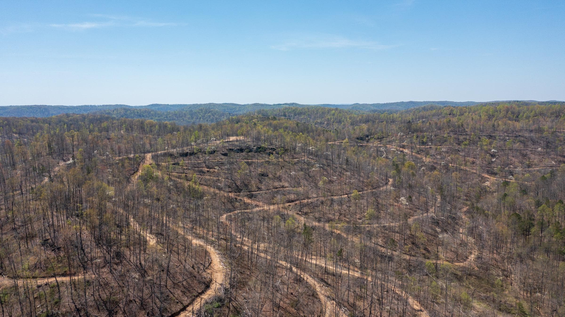 Creek Hollow Phase 1 — Zero Credit Land owner financed land for sale in Rockcastle County, Kentucky photo 49