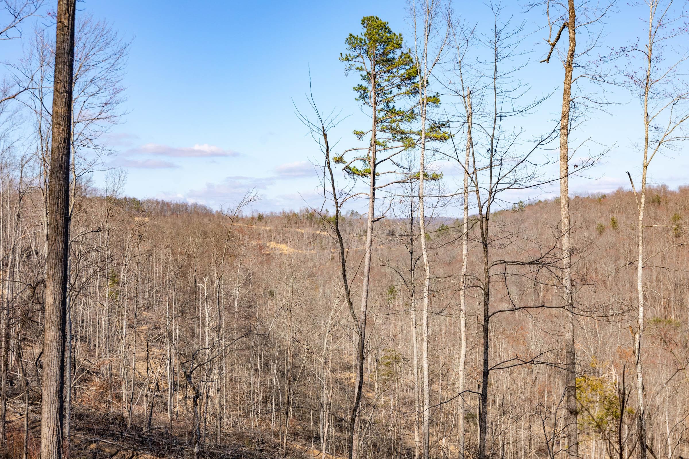 Creek Hollow Phase 1 — Zero Credit Land owner financed land for sale in Rockcastle County, Kentucky photo 39