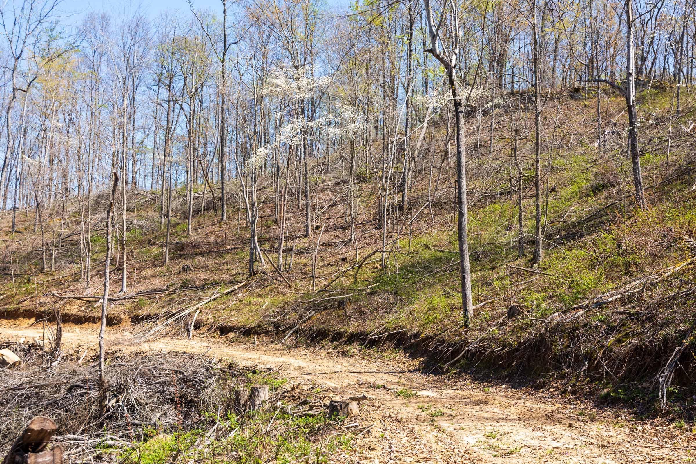 Creek Hollow Phase 1 — Zero Credit Land owner financed land for sale in Rockcastle County, Kentucky photo 60