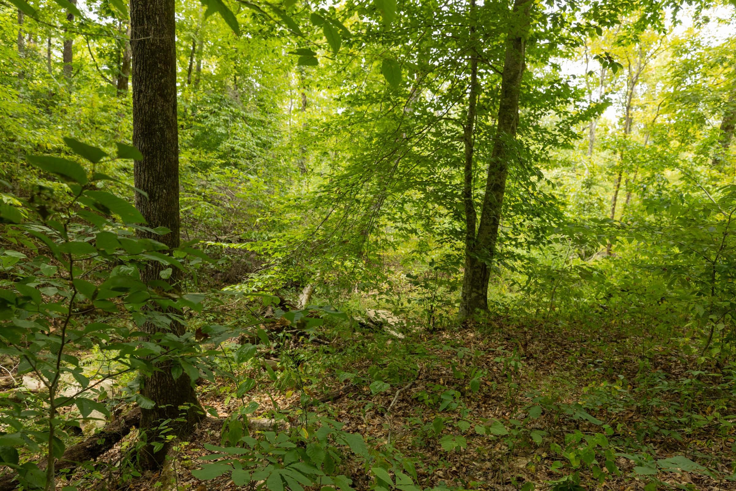 Property photo 274