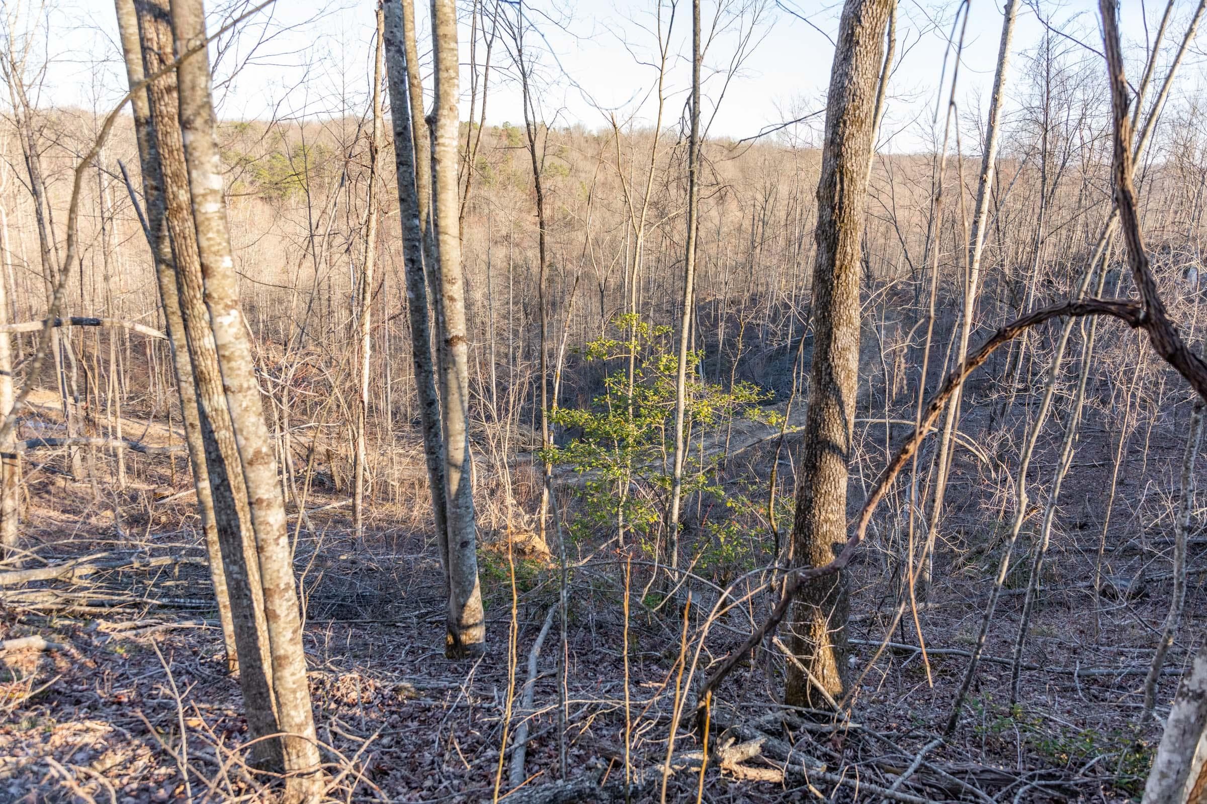 Creek Hollow Phase 1 — Zero Credit Land owner financed land for sale in Rockcastle County, Kentucky photo 44