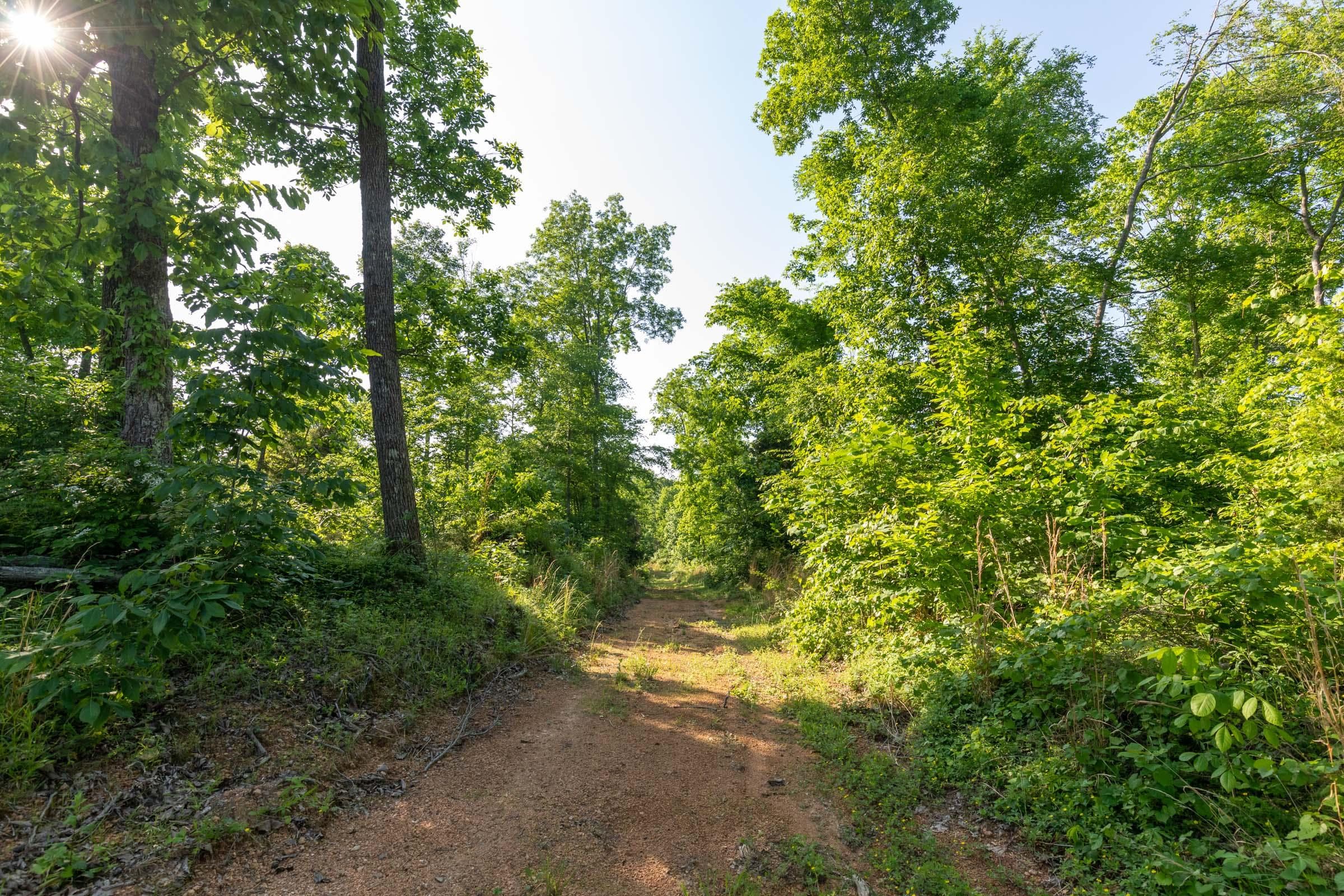 Cedar Creek — Zero Credit Land owner financed land for sale in Perry County, Tennessee photo 4