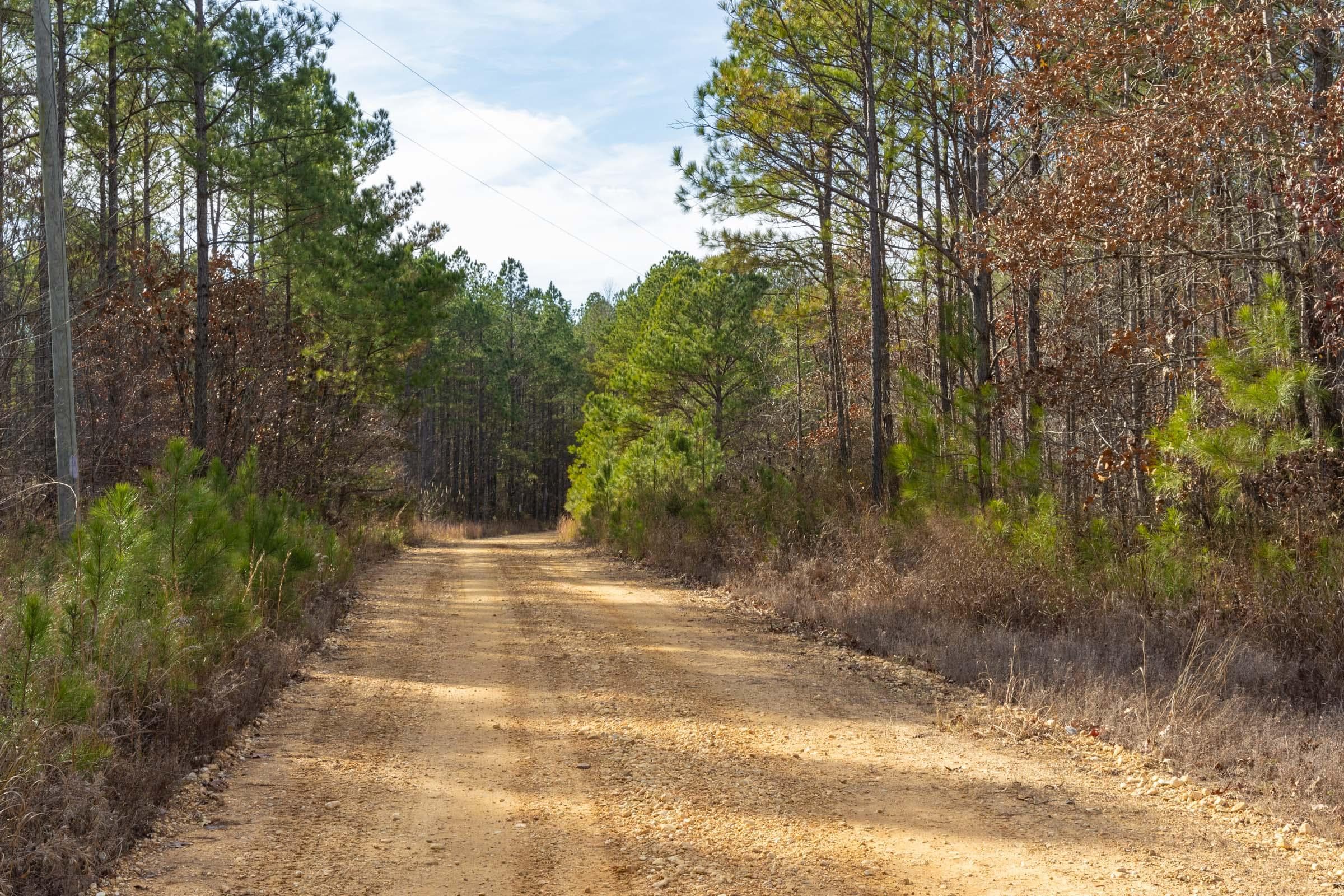 Lighting Ridge — Zero Credit Land owner financed land for sale in Colbert County, Alabama photo 51