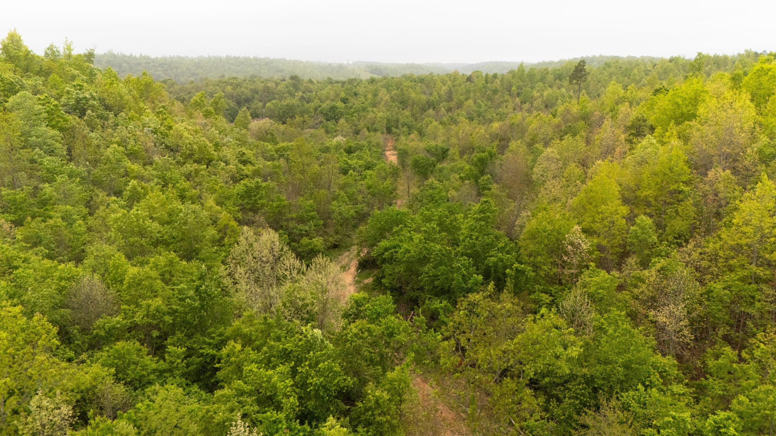 Double S Ranch — Zero Credit Land owner financed land for sale in Missouri photo 5
