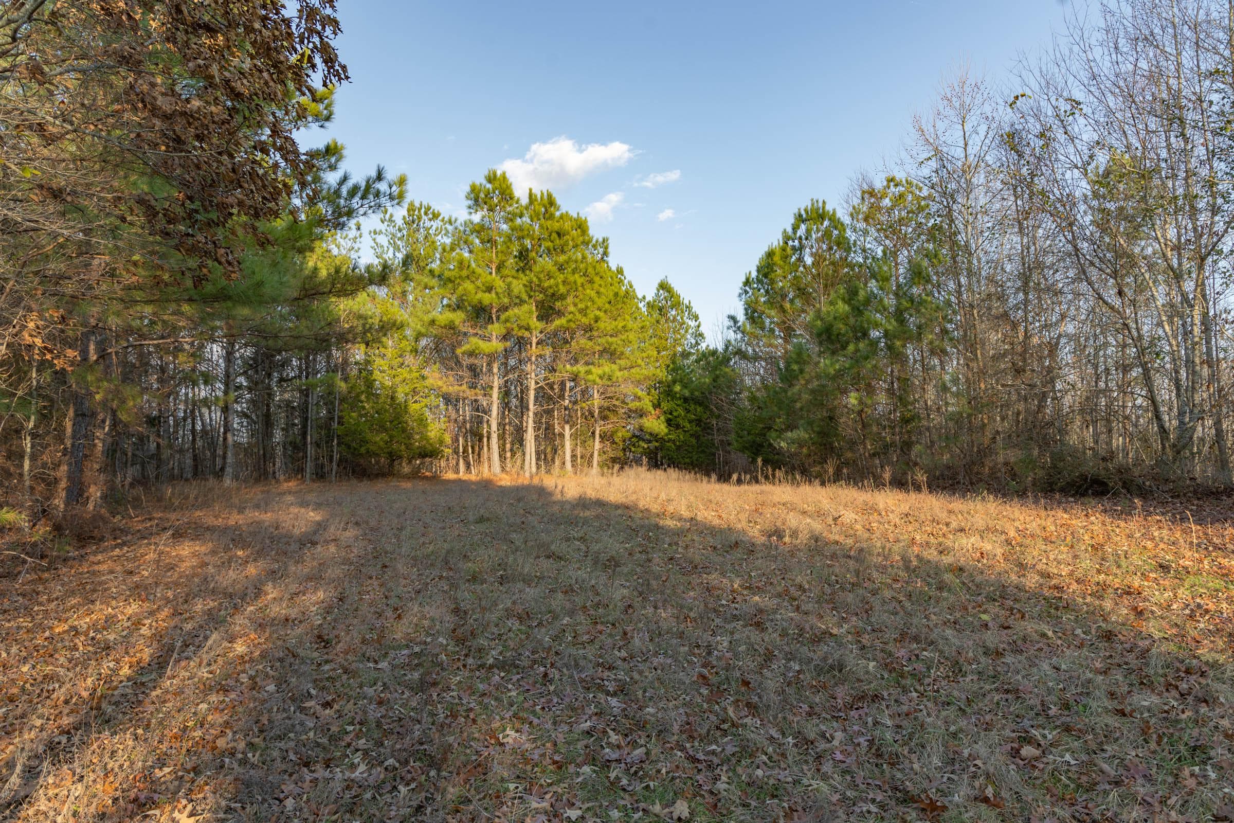 Lighting Ridge — Zero Credit Land owner financed land for sale in Colbert County, Alabama photo 39