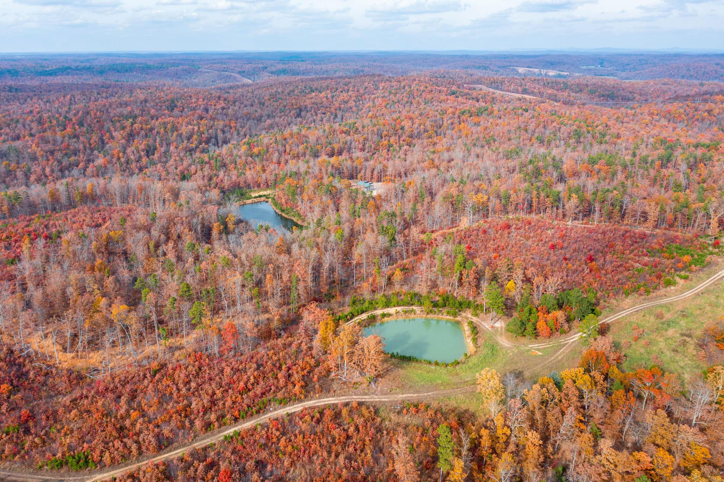 Hawk Crest — Zero Credit Land owner financed land for sale in Reynolds County, Missouri photo 49