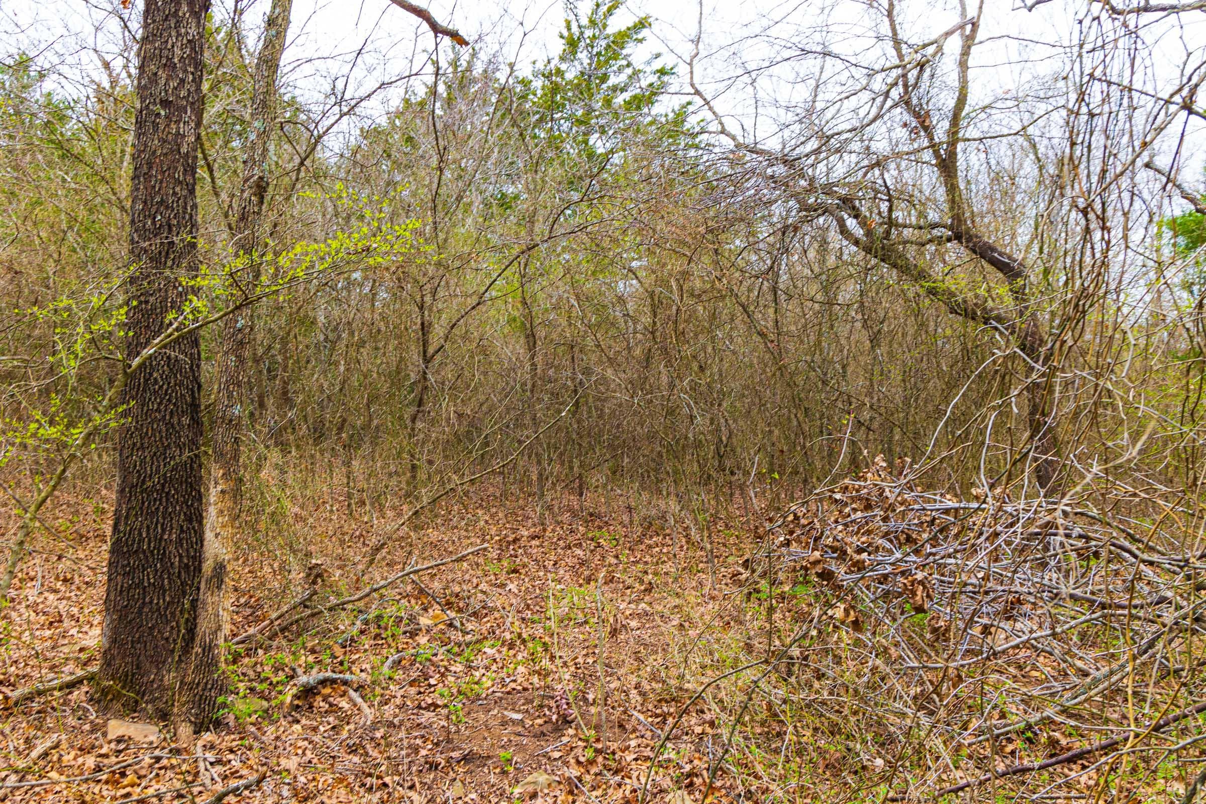 Reserves At Cattail Cove Phase I — Zero Credit Land owner financed land for sale in Pittsburg County, Oklahoma photo 18