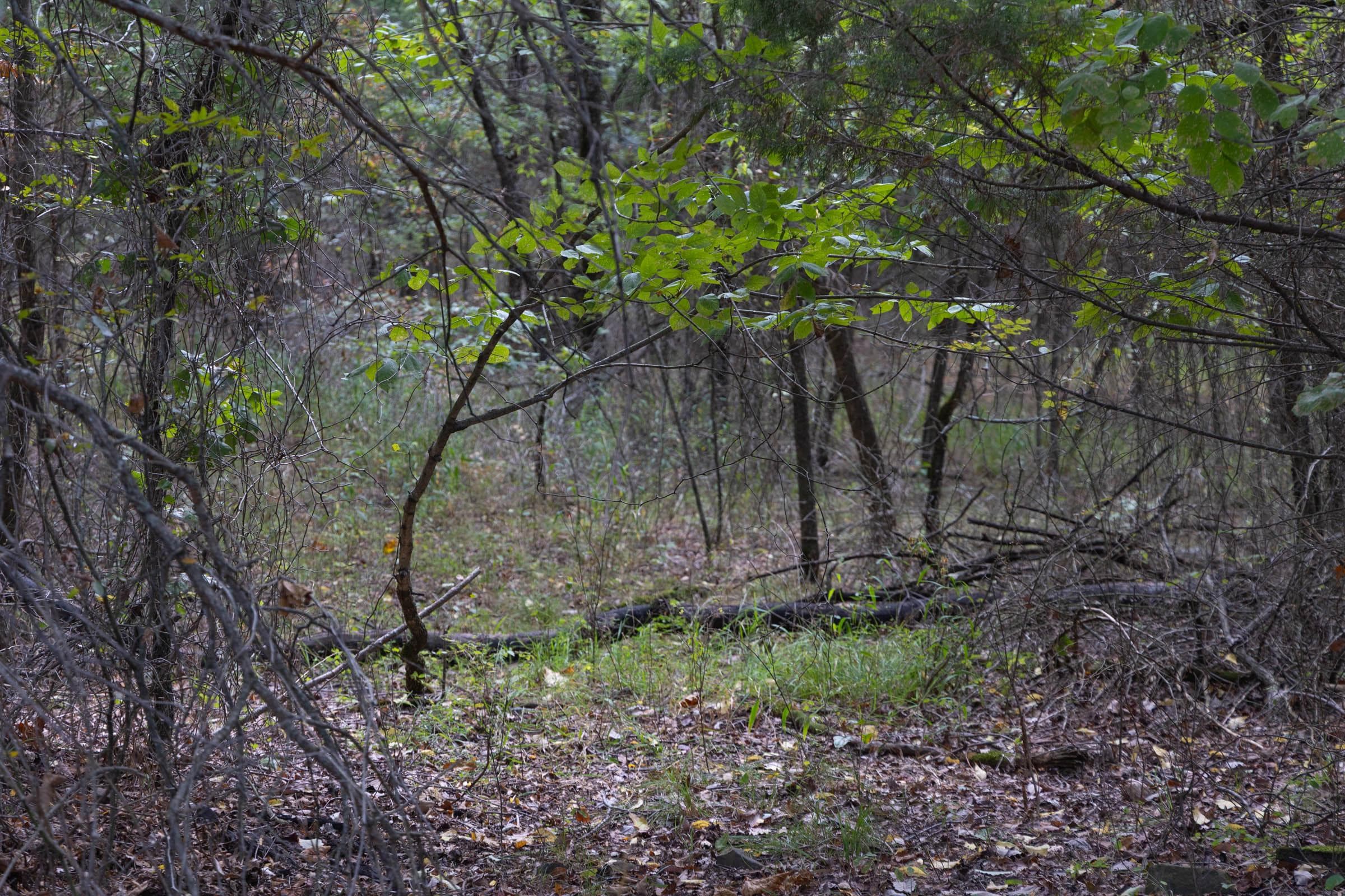  Reserves At Cattail Cove Phase II — Zero Credit Land owner financed land for sale in Pittsburg County, Oklahoma photo 65