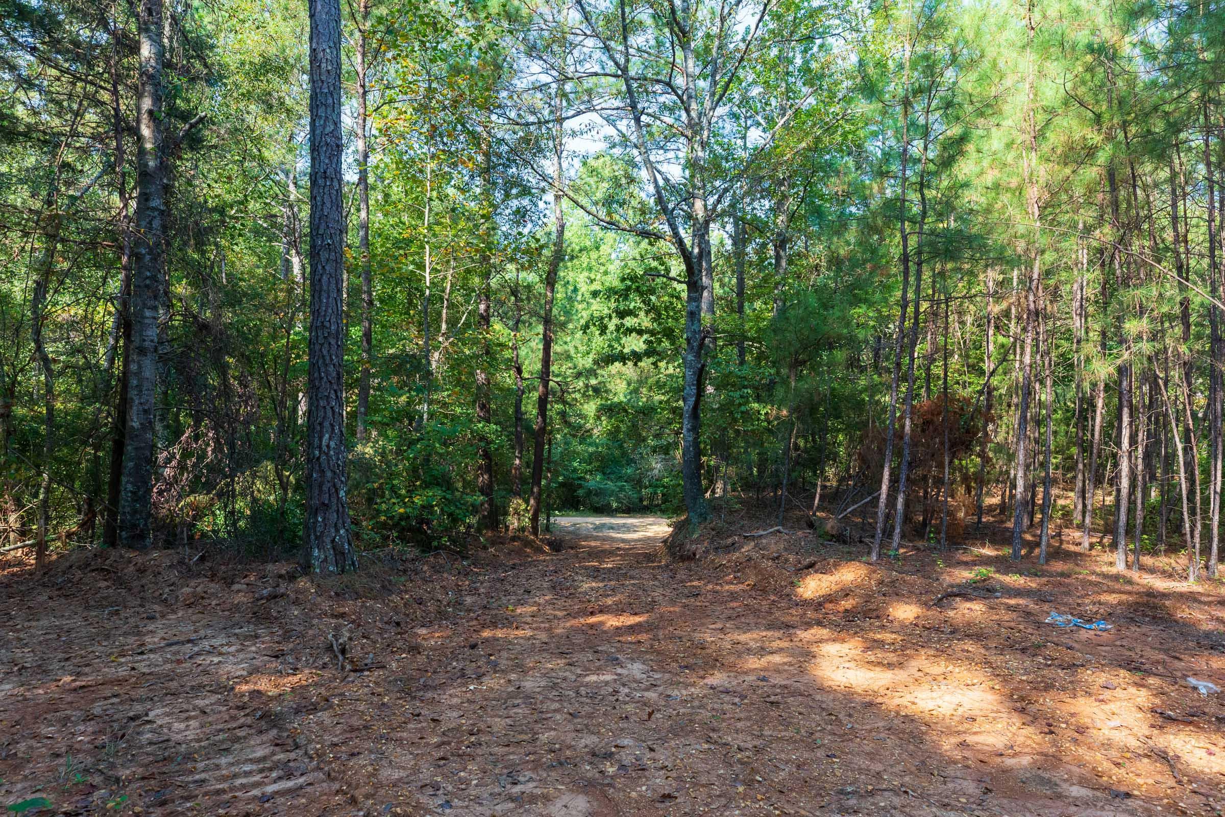 Willow Grove — Zero Credit Land owner financed land for sale in Lamar County, Alabama photo 39