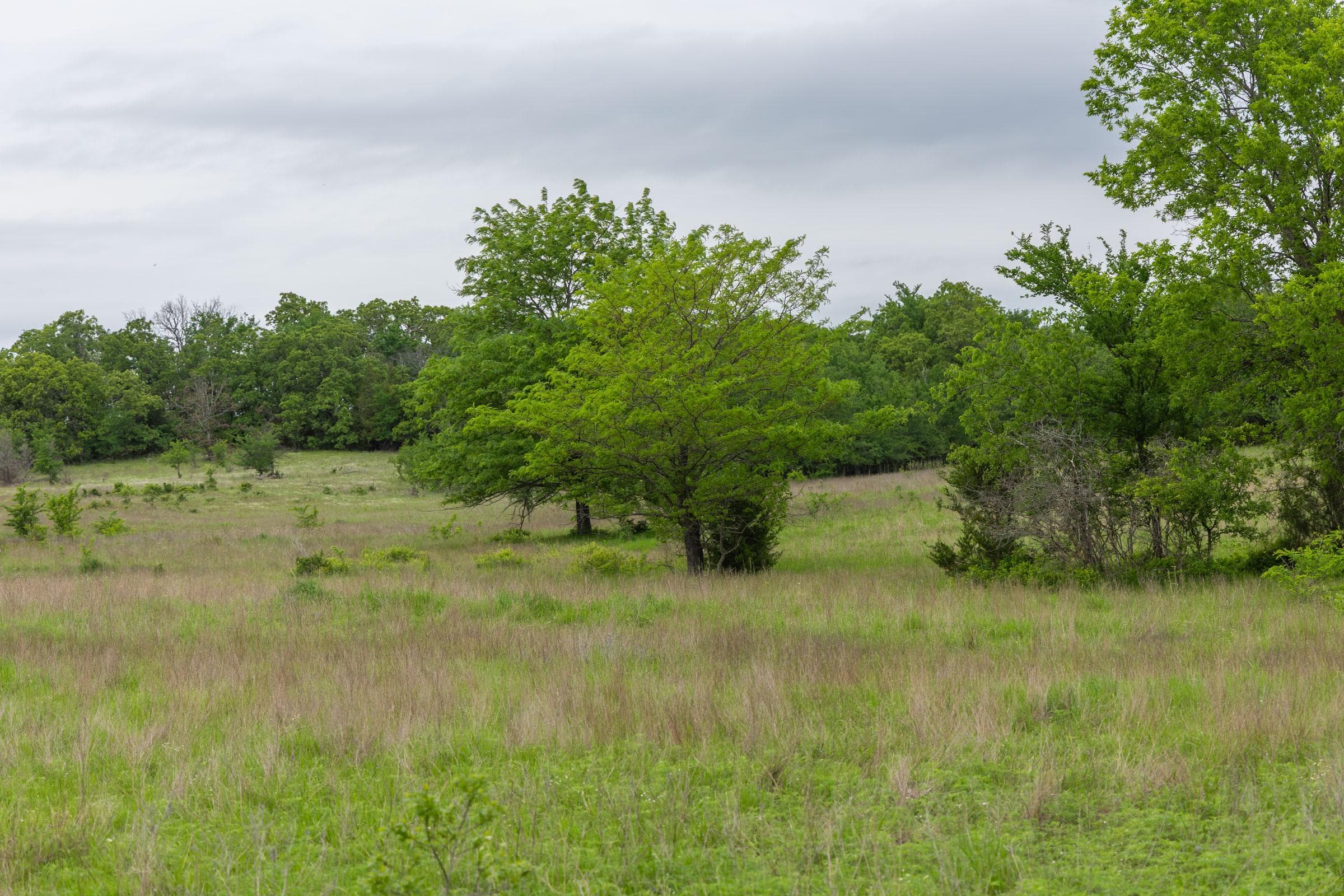 Harmony Hills — Zero Credit Land owner financed land for sale in Pittsburg County, Oklahoma photo 160