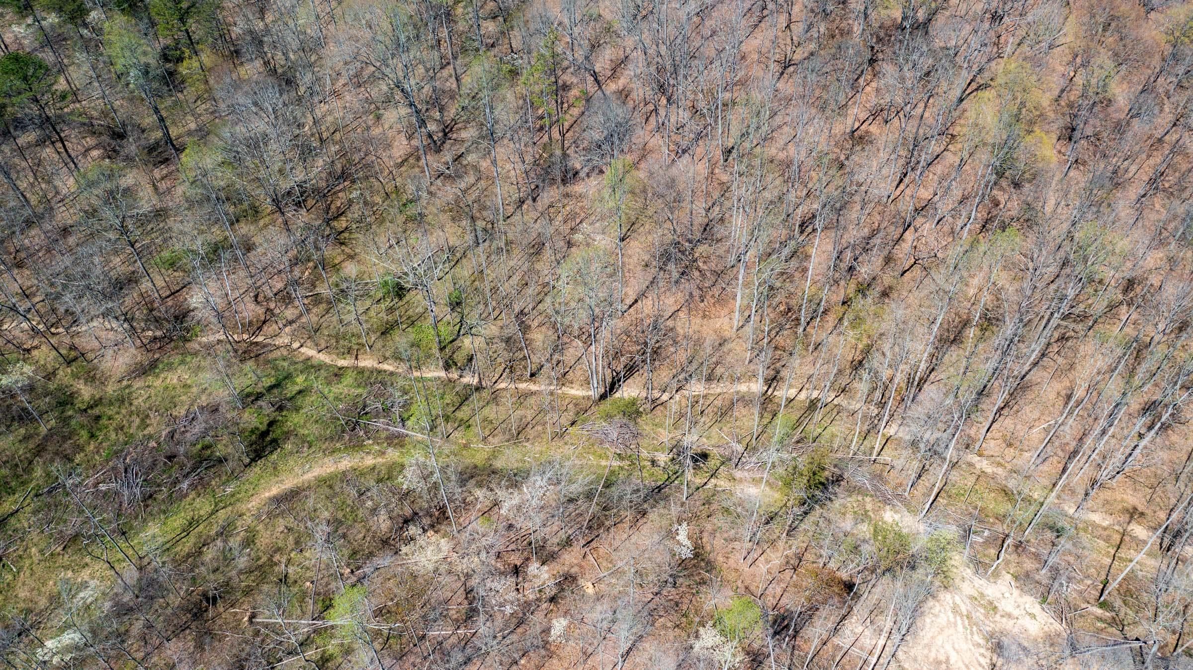 Creek Hollow Phase 1 — Zero Credit Land owner financed land for sale in Rockcastle County, Kentucky photo 23