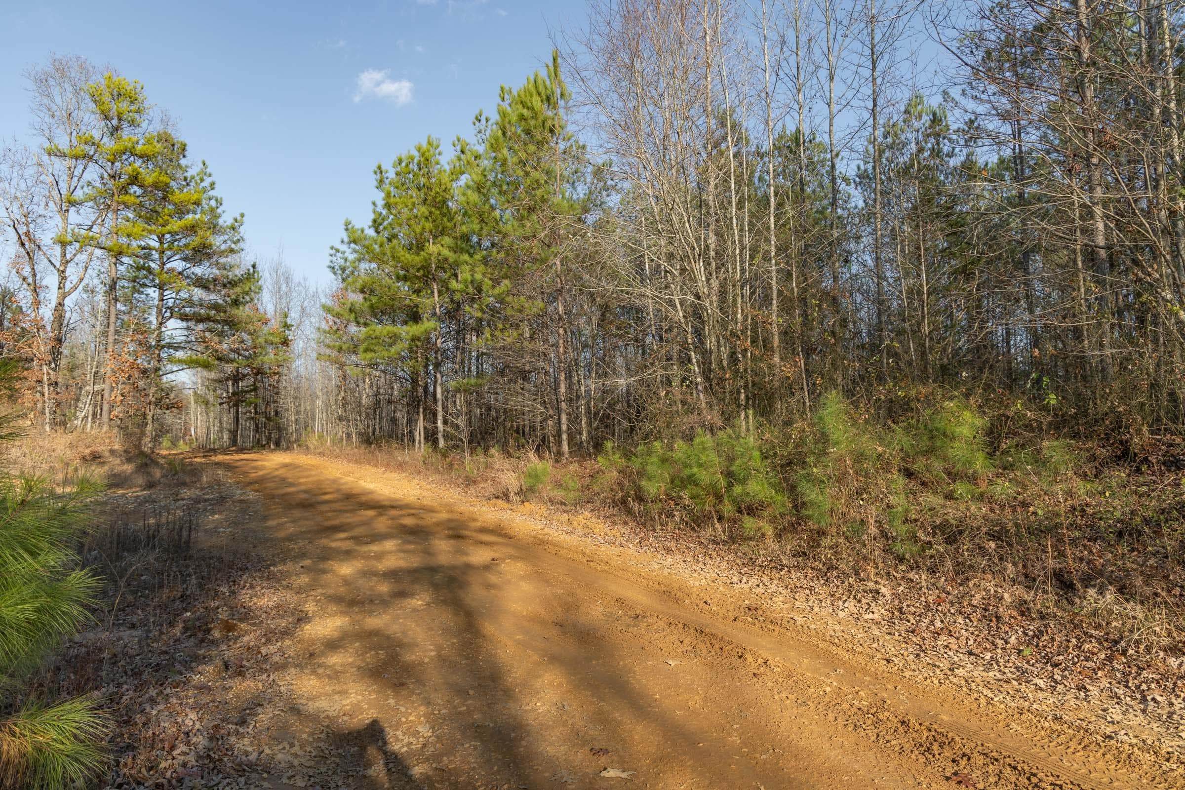 Lighting Ridge — Zero Credit Land owner financed land for sale in Colbert County, Alabama photo 22