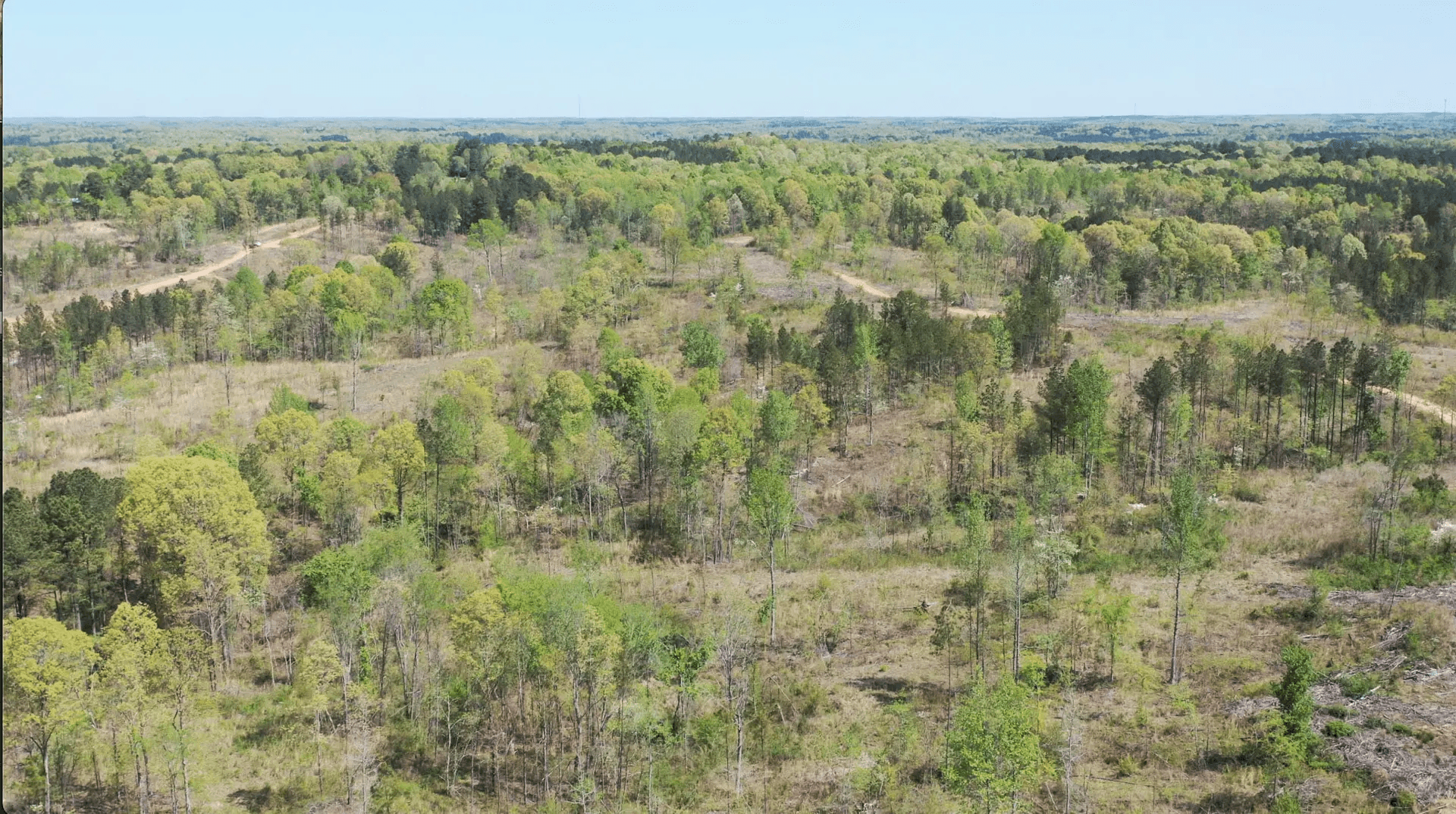 Twin Rivers — Zero Credit Land owner financed land for sale in Henderson County, Tennessee photo 5
