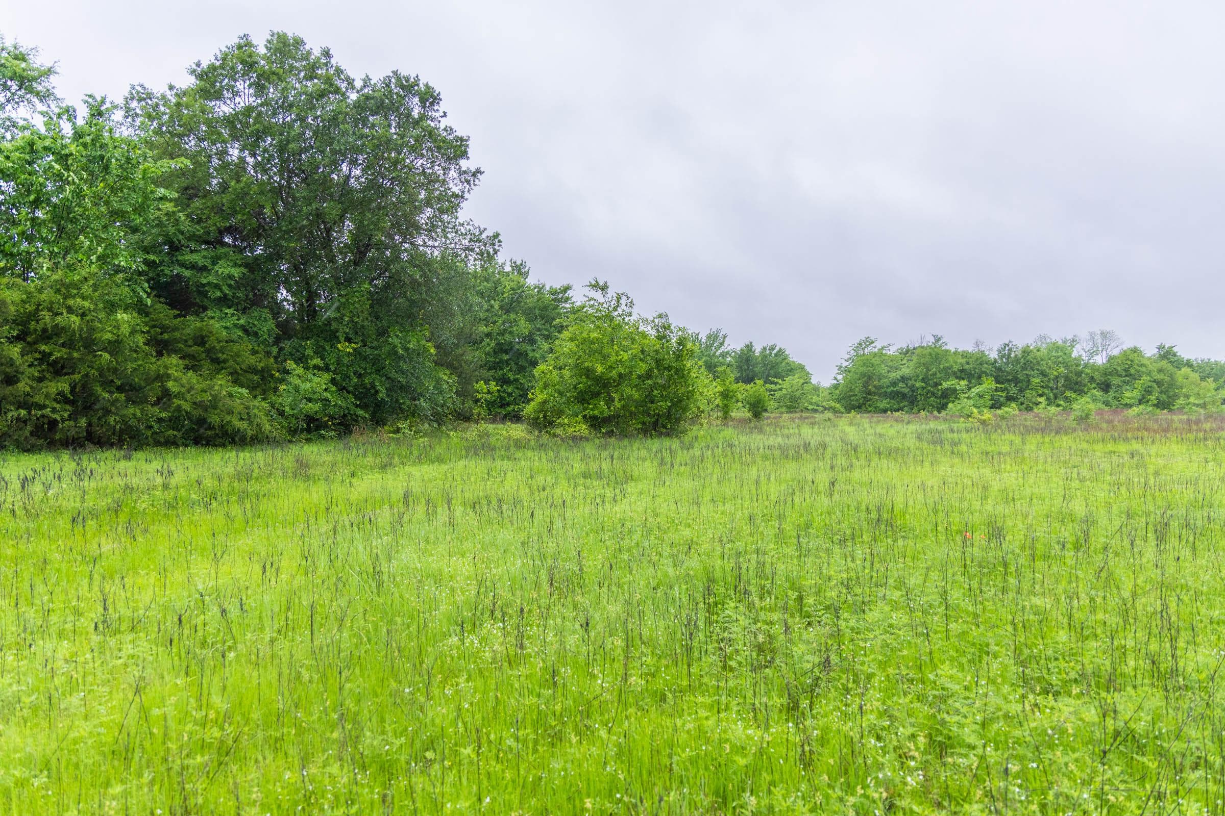 Harmony Hills — Zero Credit Land owner financed land for sale in Pittsburg County, Oklahoma photo 129