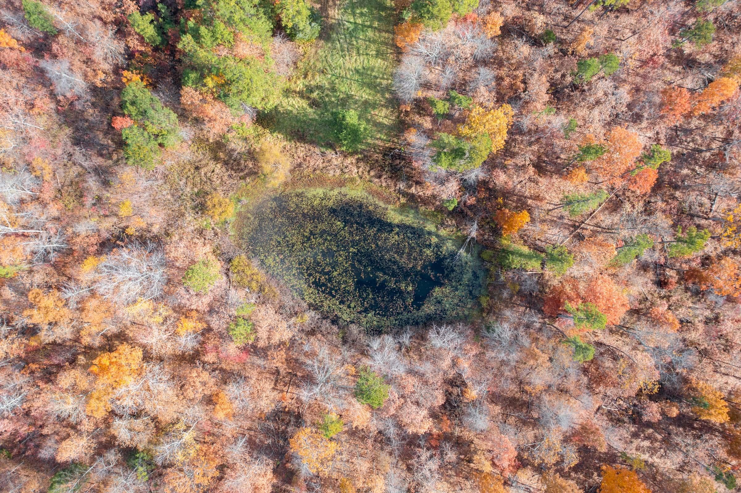 Hawk Crest — Zero Credit Land owner financed land for sale in Reynolds County, Missouri photo 5