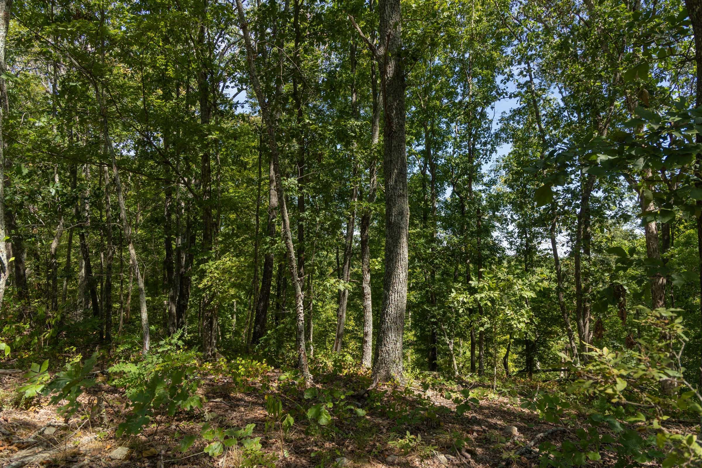 Property photo 273