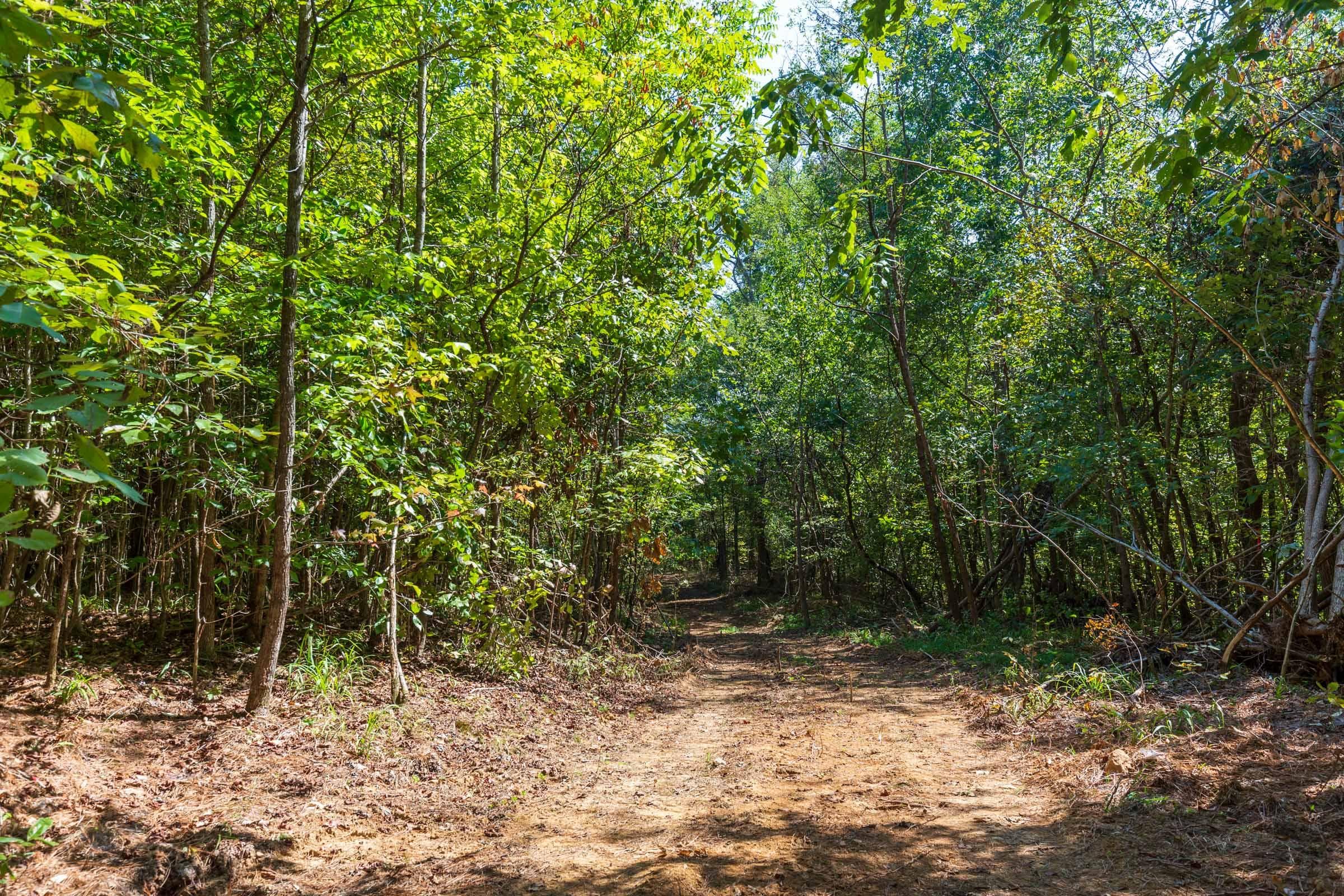 Redemption Ridge — Zero Credit Land owner financed land for sale in Wayne County, Tennessee photo 28