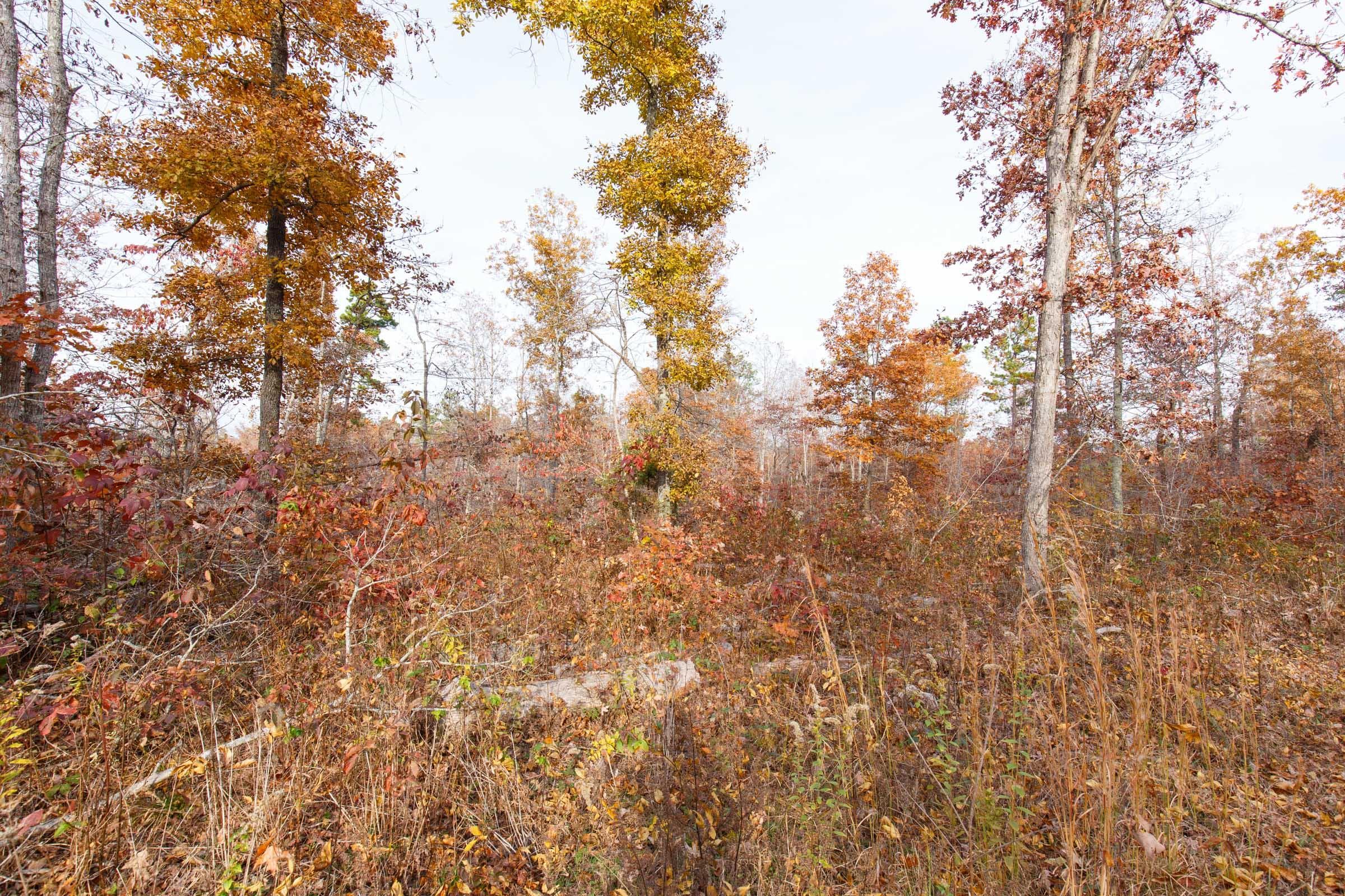 Hawk Crest — Zero Credit Land owner financed land for sale in Reynolds County, Missouri photo 2