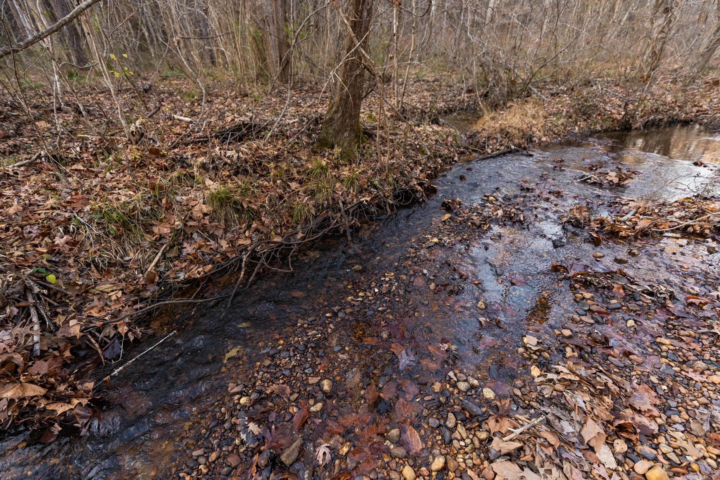 Lighting Ridge — Zero Credit Land owner financed land for sale in Colbert County, Alabama photo 23