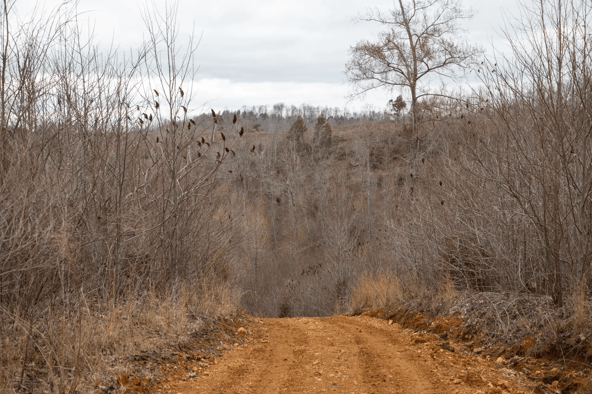 South Wind Ranch — Zero Credit Land owner financed land for sale in Perry County, Tennessee