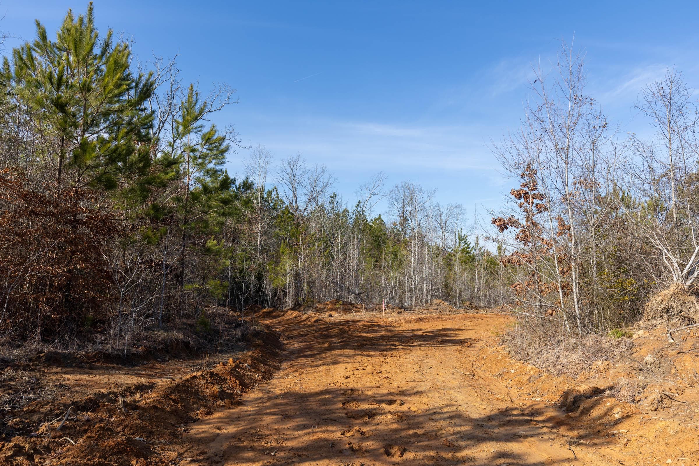 Baker Creek — Zero Credit Land owner financed land for sale in Fayette County, Alabama photo 20
