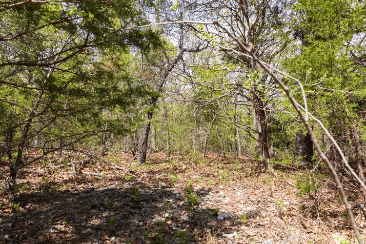  Autumnwood — Zero Credit Land owner financed land for sale in Fulton County, Arkansas