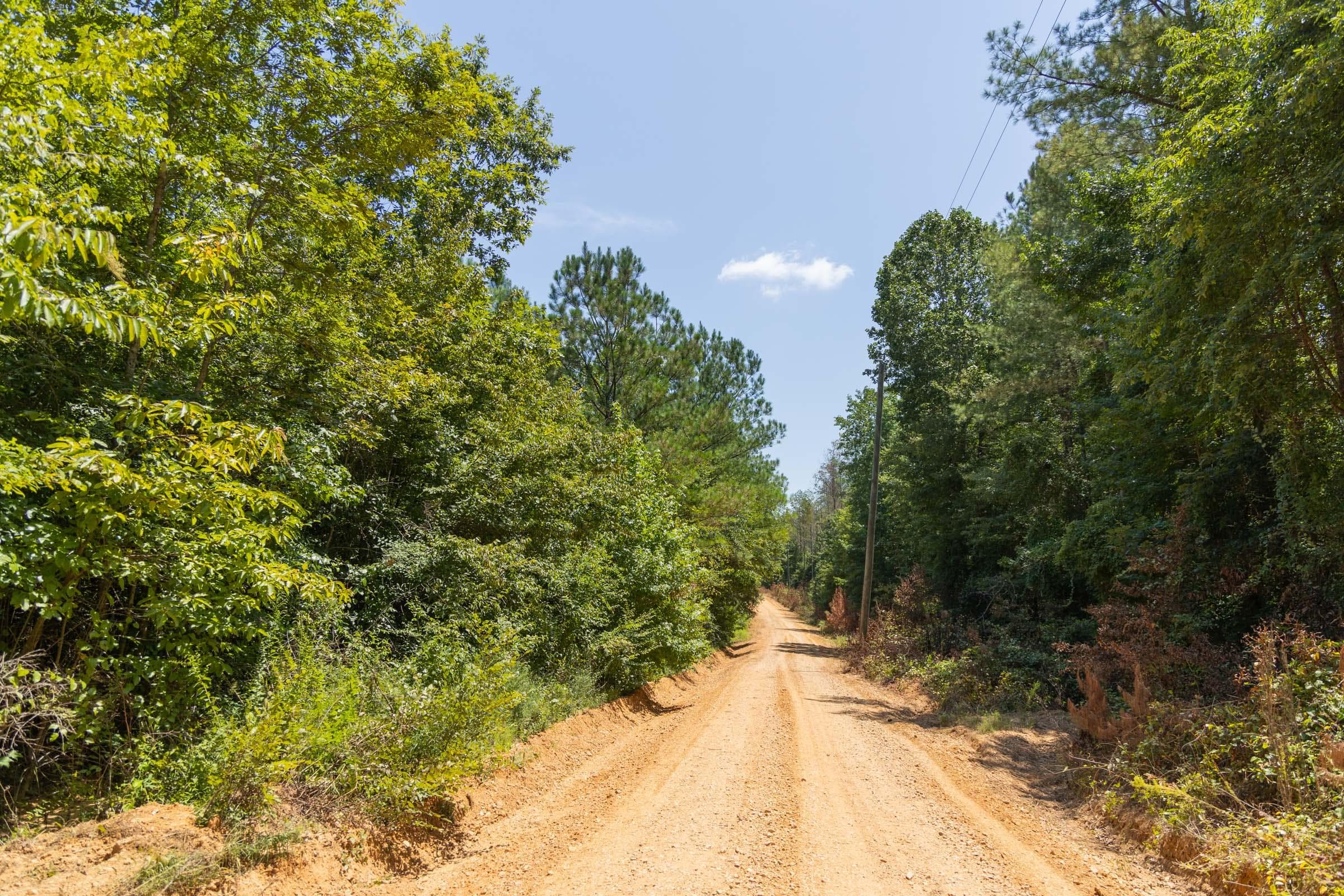 Olive Hill — Zero Credit Land owner financed land for sale in Lamar County, Alabama photo 13