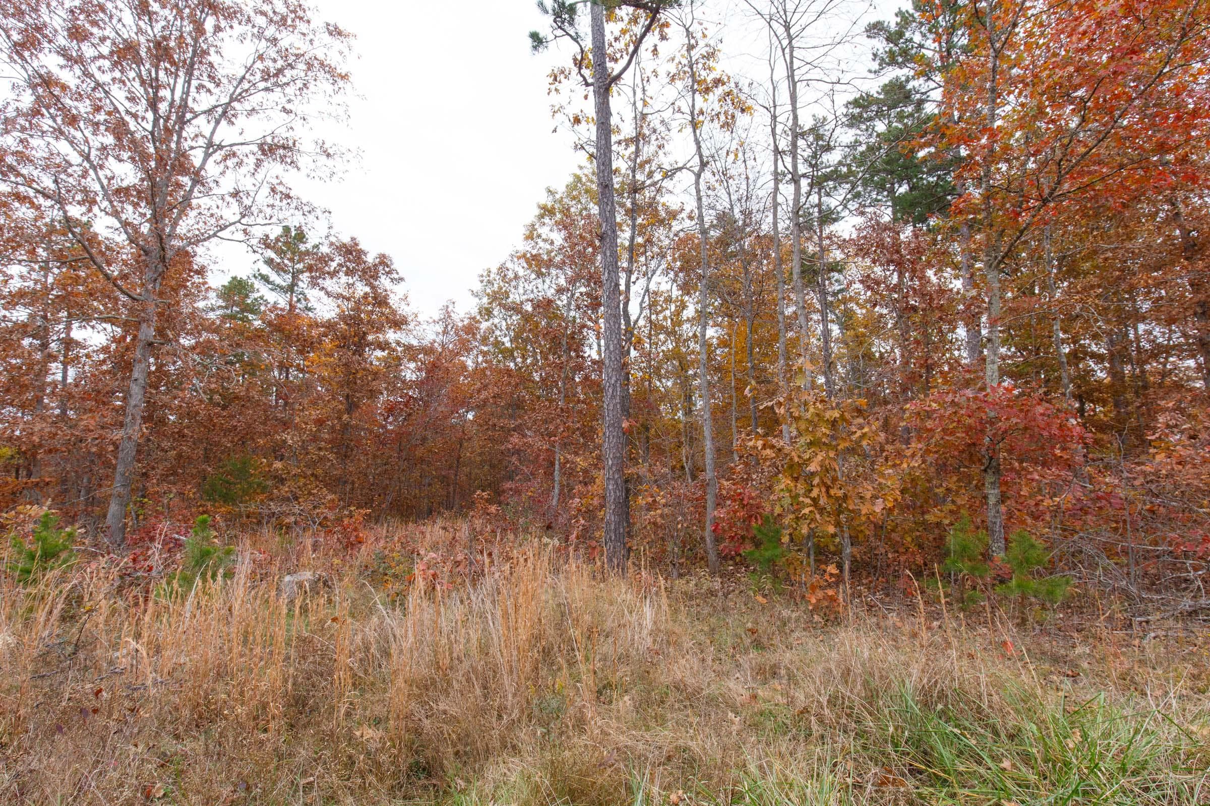 Hawk Crest — Zero Credit Land owner financed land for sale in Reynolds County, Missouri photo 14