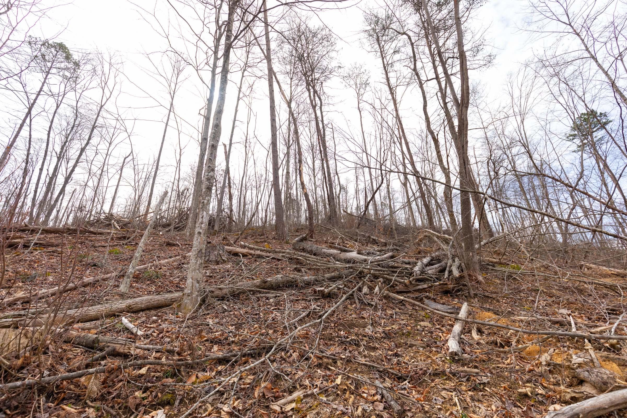 Creek Hollow Phase 1 — Zero Credit Land owner financed land for sale in Rockcastle County, Kentucky photo 63