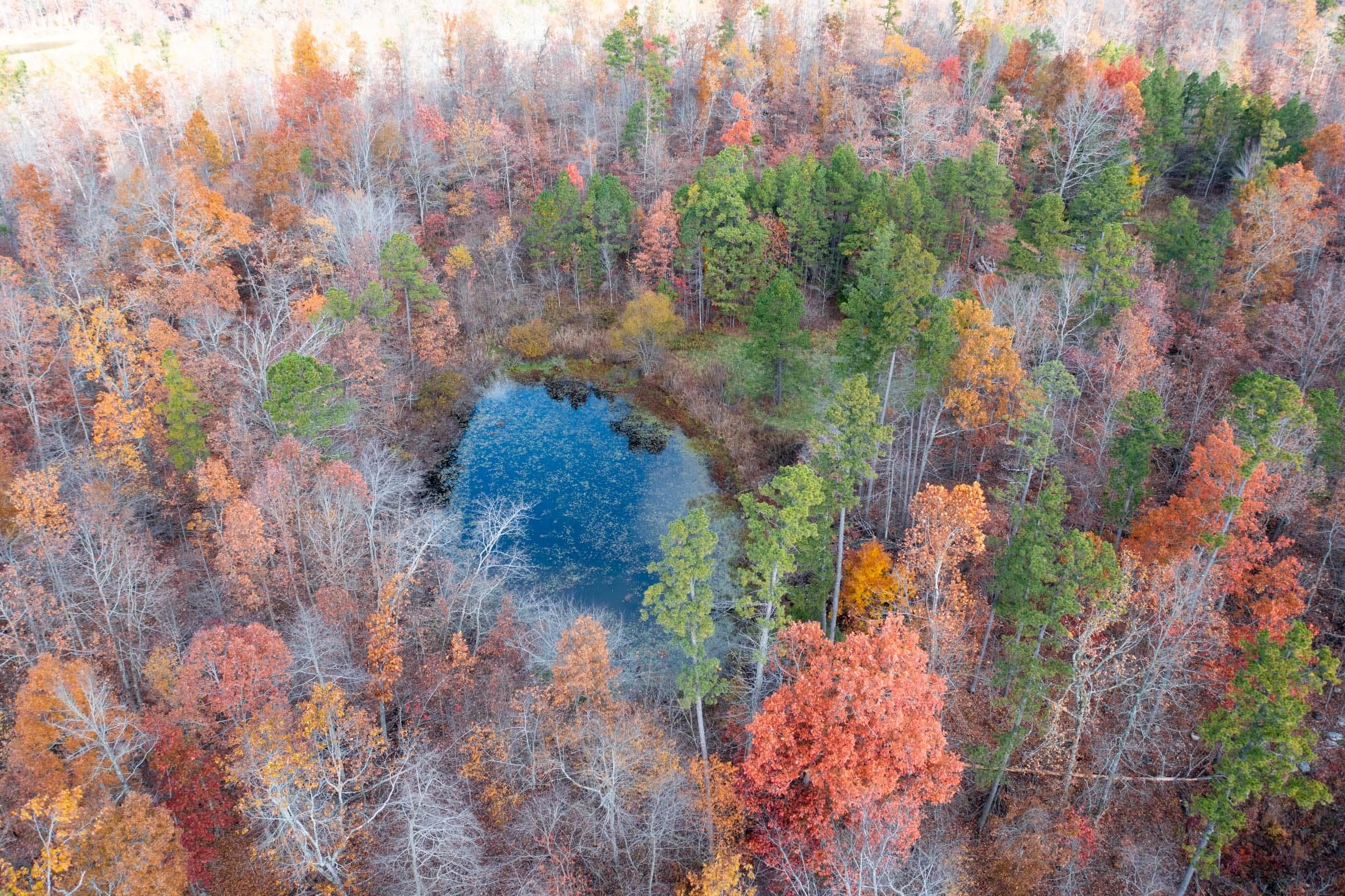 Hawk Crest — Zero Credit Land owner financed land for sale in Reynolds County, Missouri photo 3