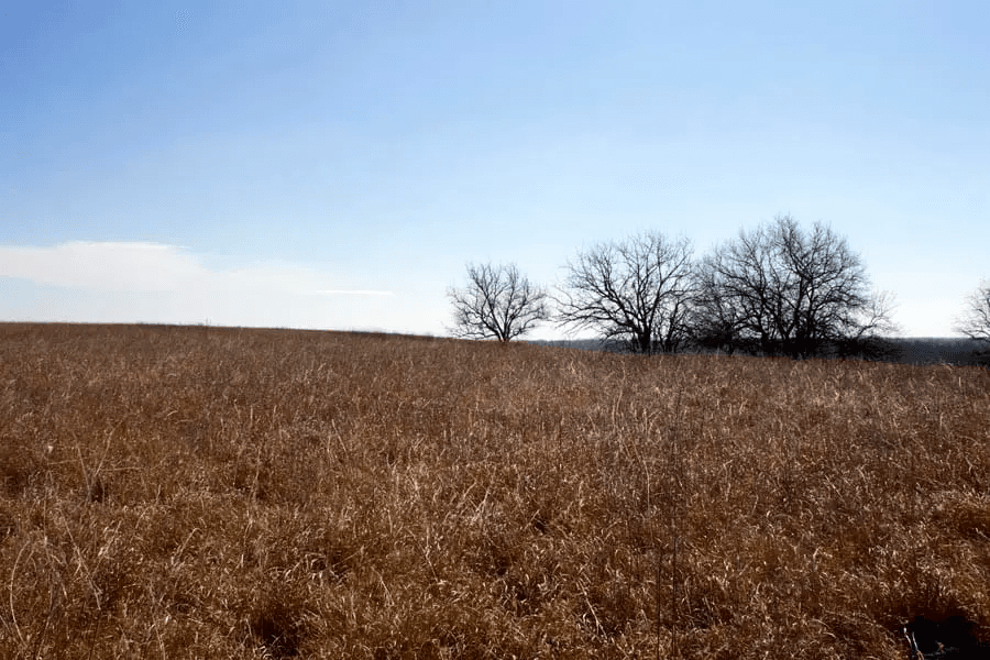 Cowboy Meadows — Zero Credit Land owner financed land for sale in Chautauqua County, Kansas photo 18