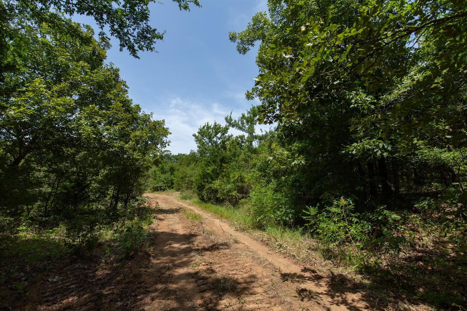 Timber Ridge — Zero Credit Land owner financed land for sale in McIntosh County, Oklahoma photo 4