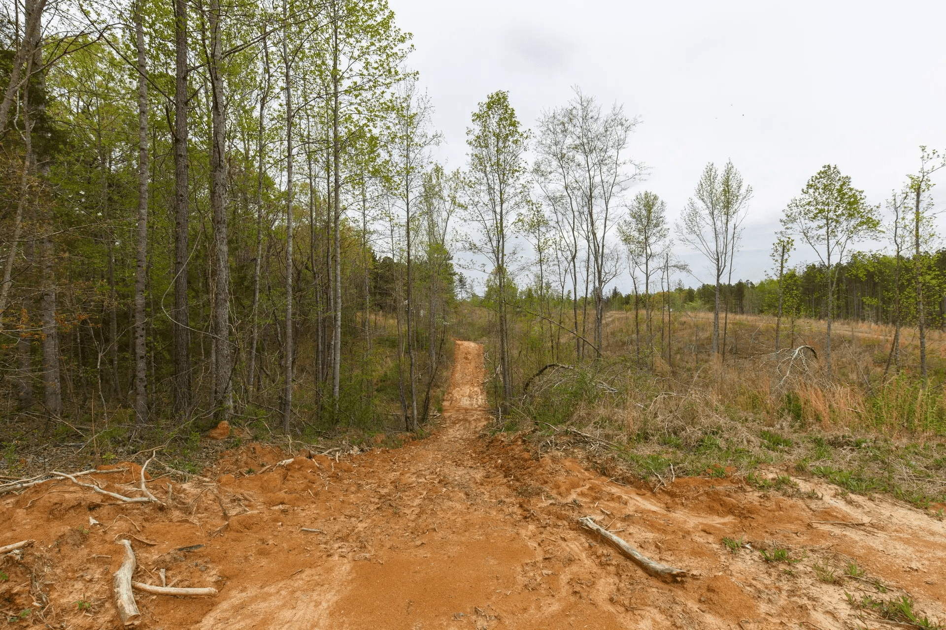 Twin Rivers — Zero Credit Land owner financed land for sale in Henderson County, Tennessee photo 6