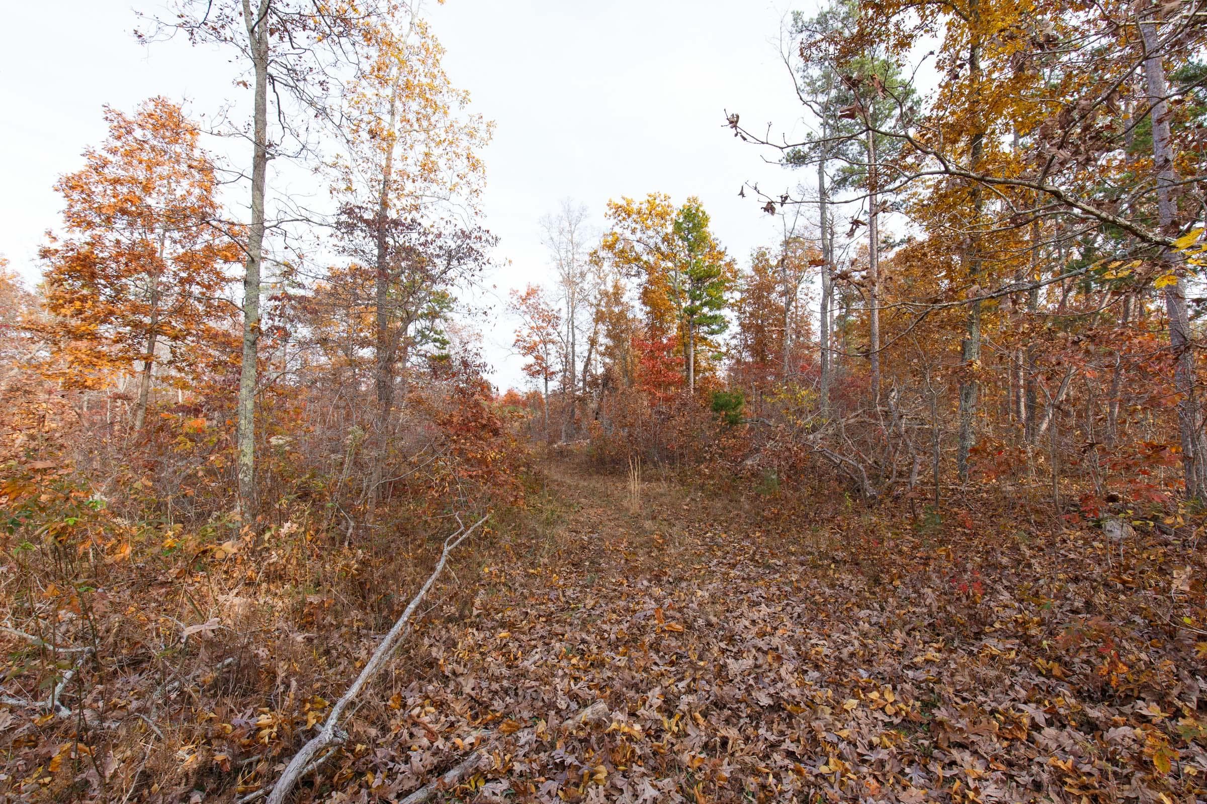 Hawk Crest — Zero Credit Land owner financed land for sale in Reynolds County, Missouri