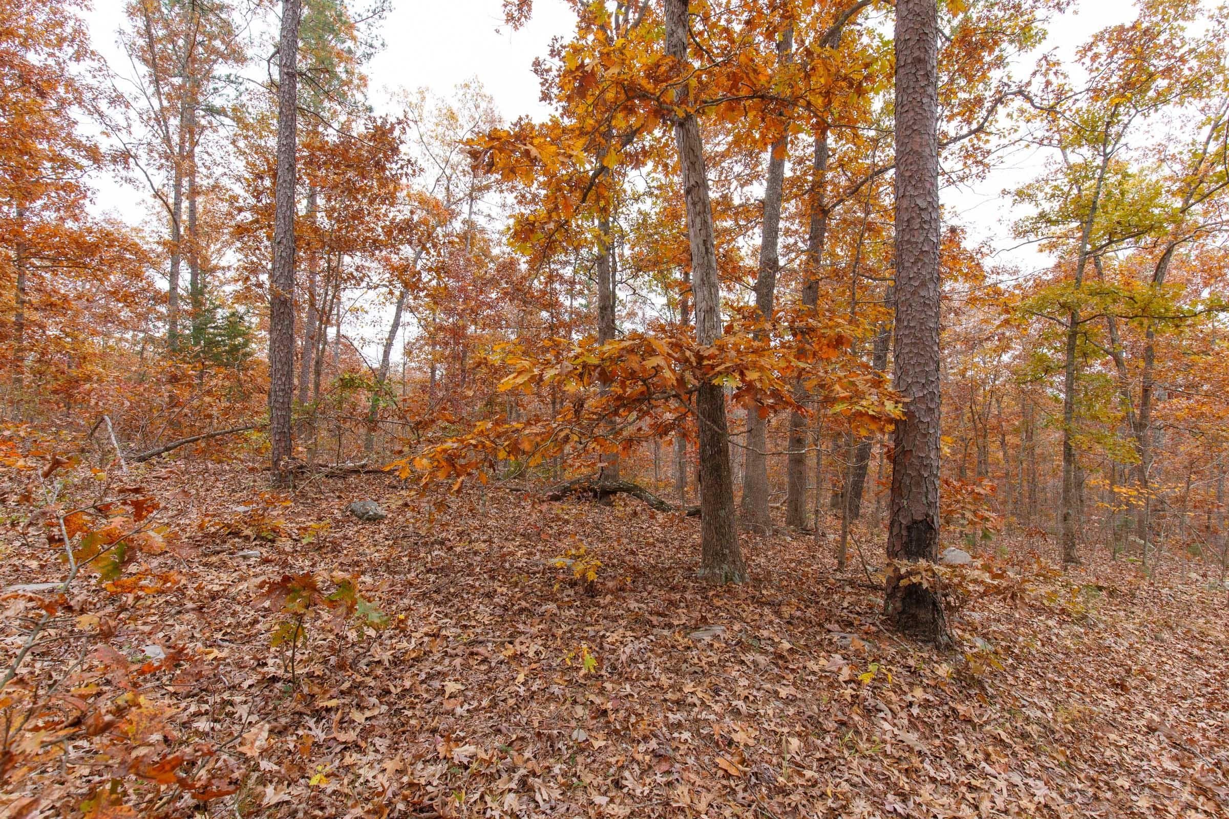 Hawk Crest — Zero Credit Land owner financed land for sale in Reynolds County, Missouri
