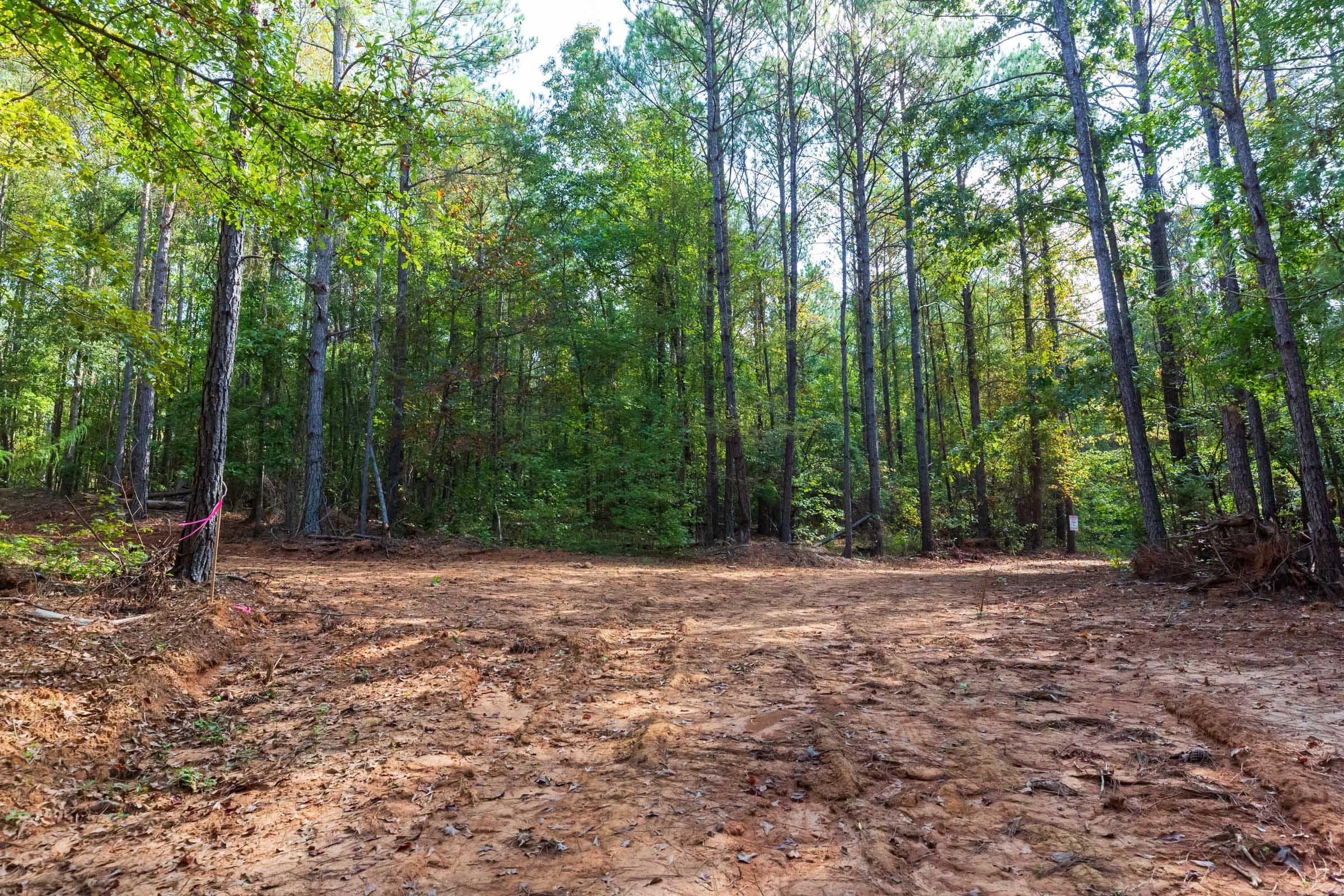 Willow Grove — Zero Credit Land owner financed land for sale in Lamar County, Alabama photo 34