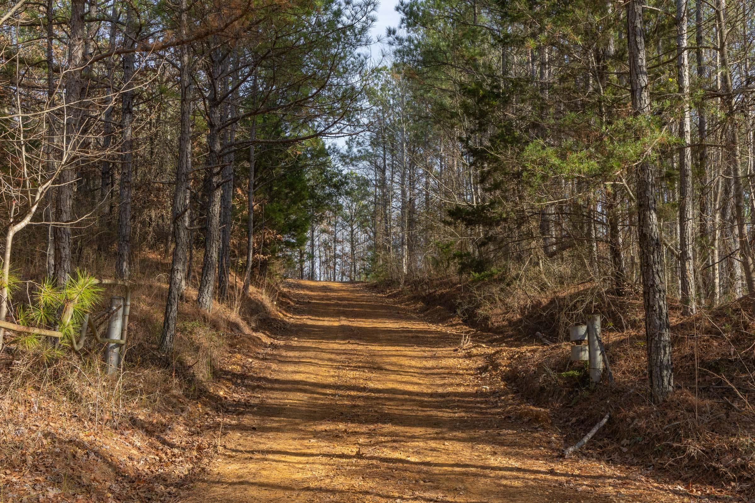 Lighting Ridge — Zero Credit Land owner financed land for sale in Colbert County, Alabama photo 49