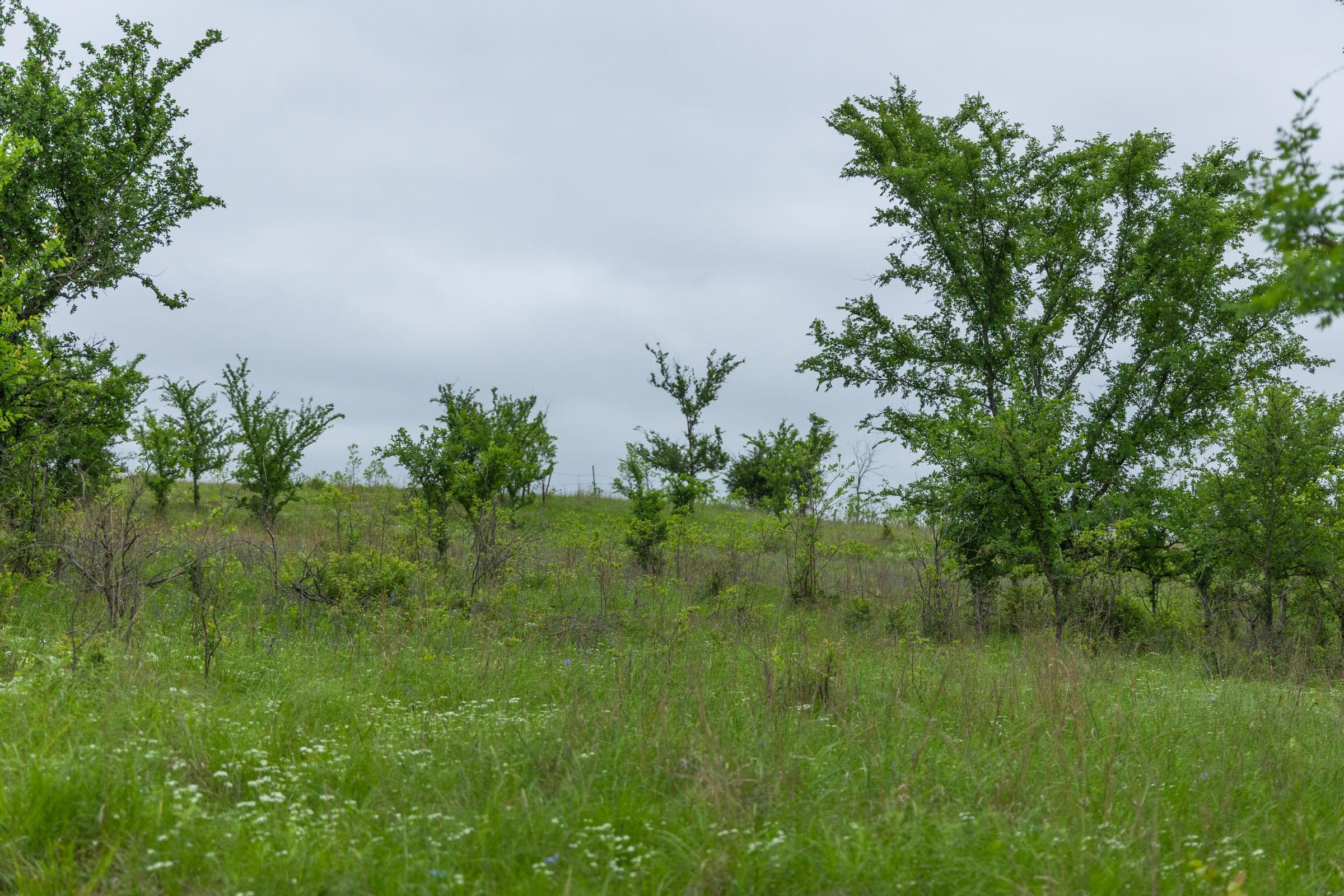 Harmony Hills — Zero Credit Land owner financed land for sale in Pittsburg County, Oklahoma photo 174