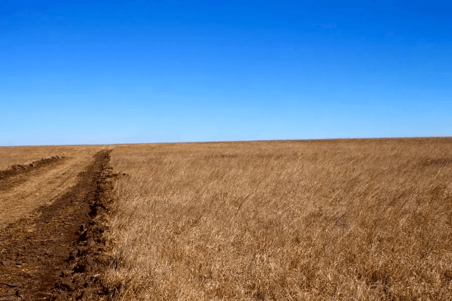 Cowboy Meadows — Zero Credit Land owner financed land for sale in Chautauqua County, Kansas photo 3