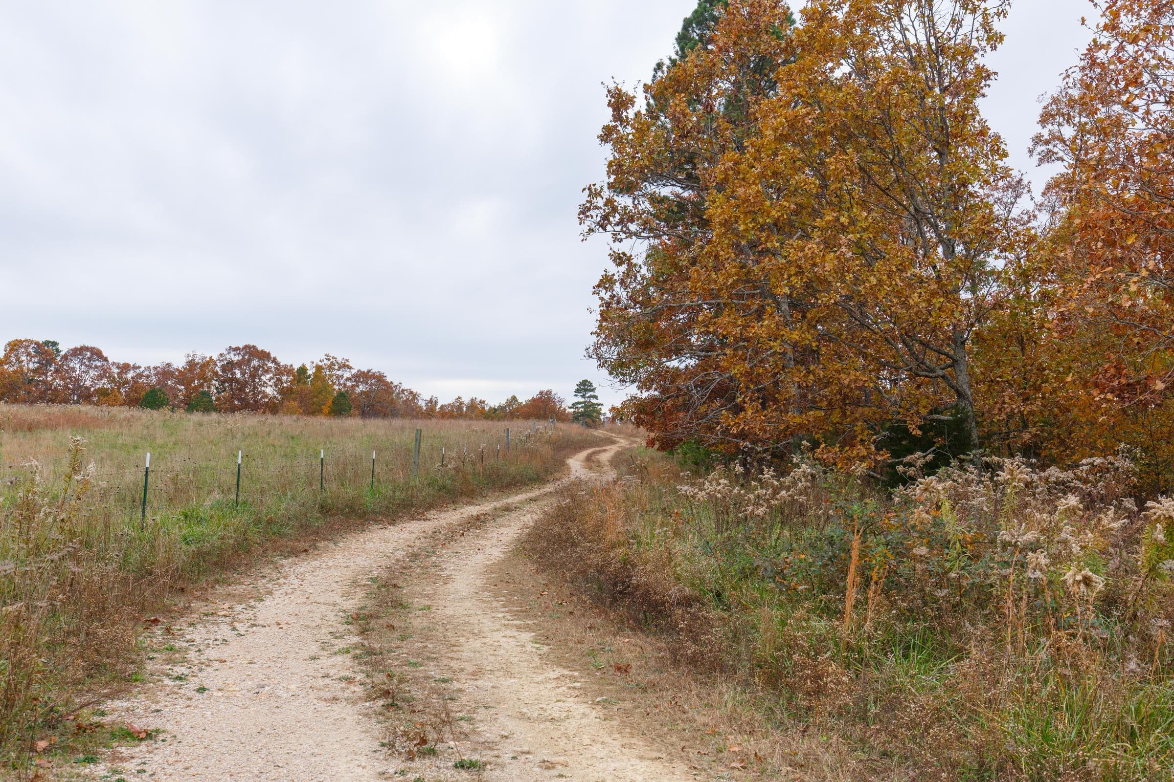 Hawk Crest — Zero Credit Land owner financed land for sale in Reynolds County, Missouri photo 11