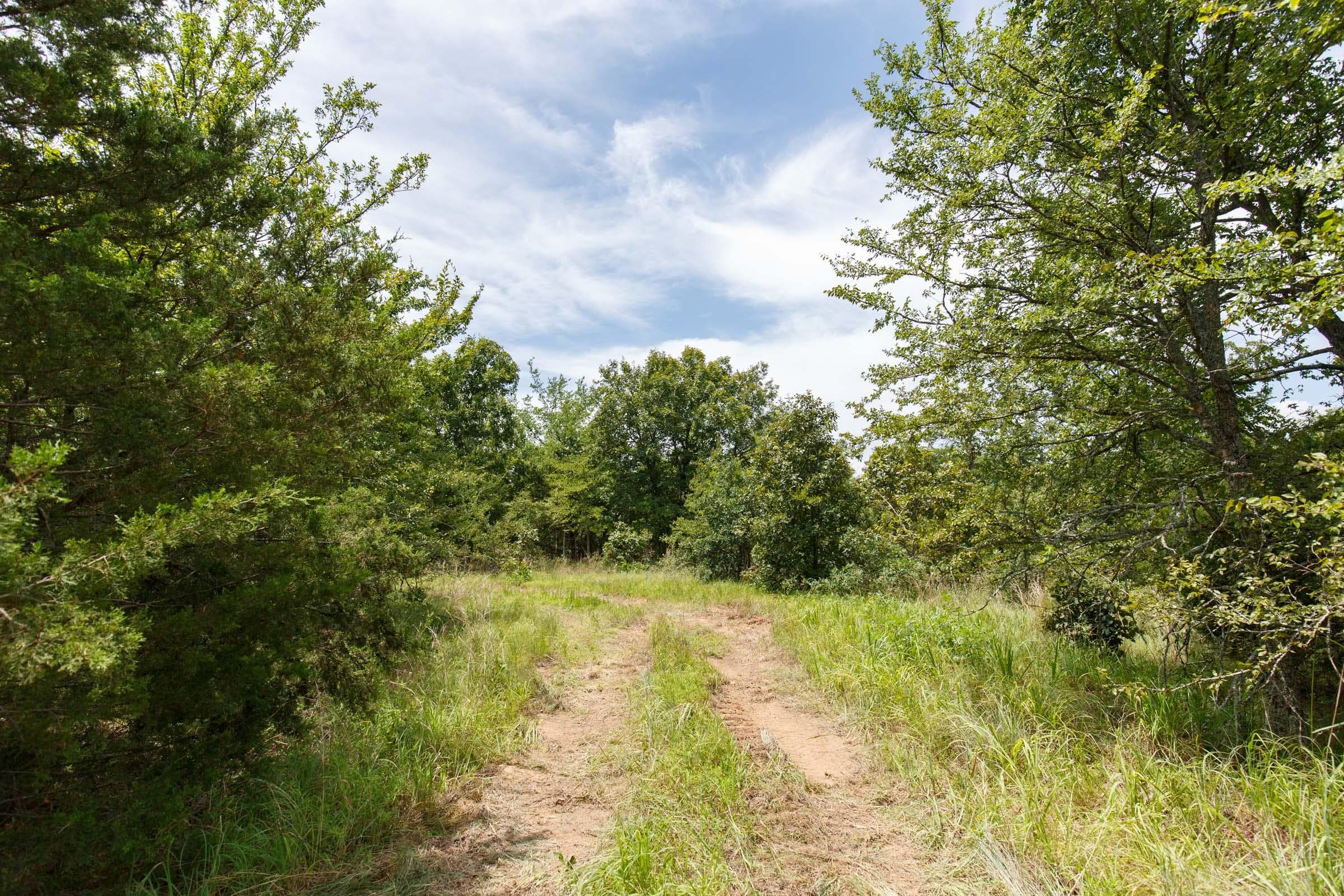 Timber Ridge — Zero Credit Land owner financed land for sale in McIntosh County, Oklahoma