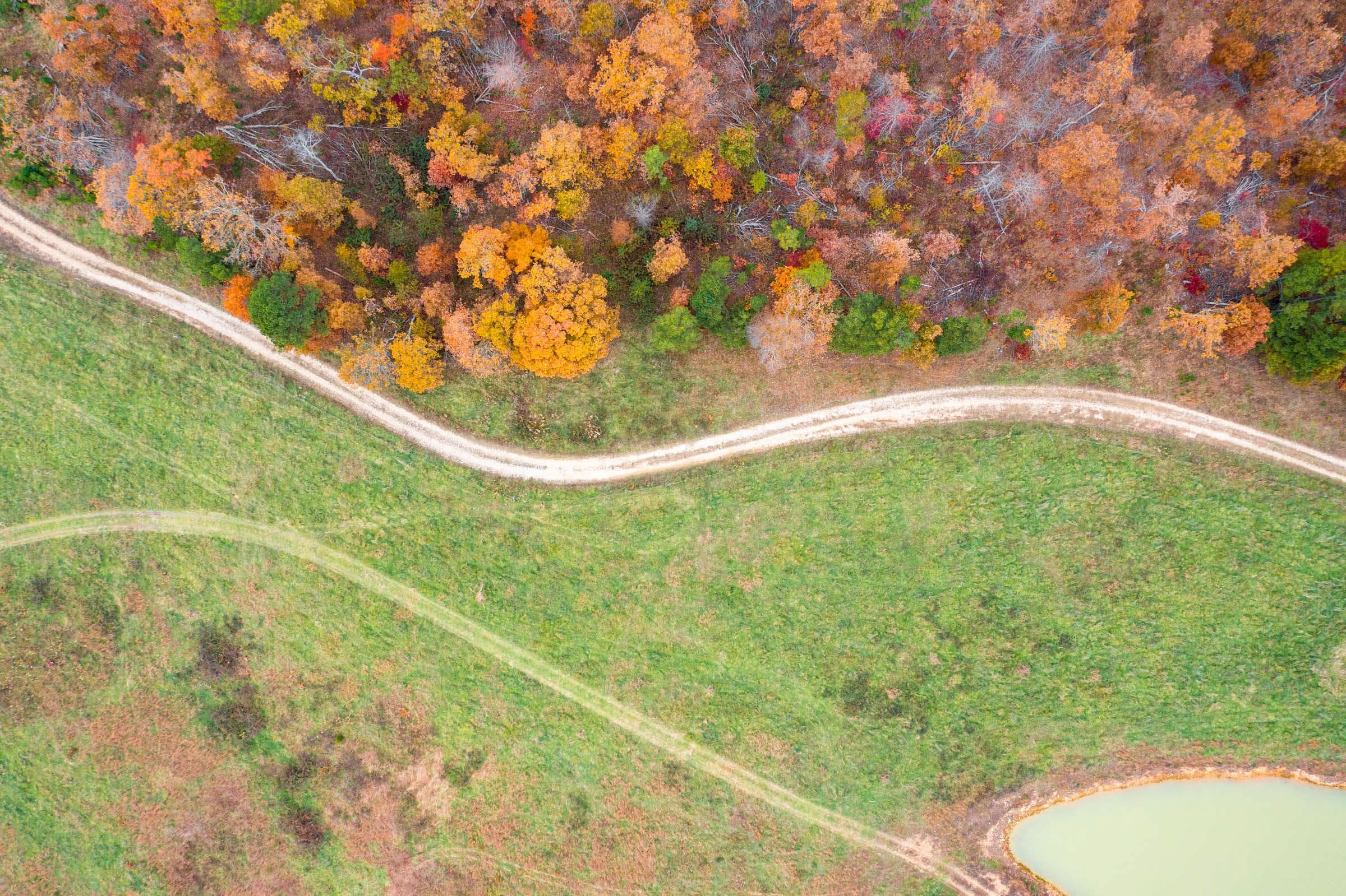 Hawk Crest — Zero Credit Land owner financed land for sale in Reynolds County, Missouri photo 48