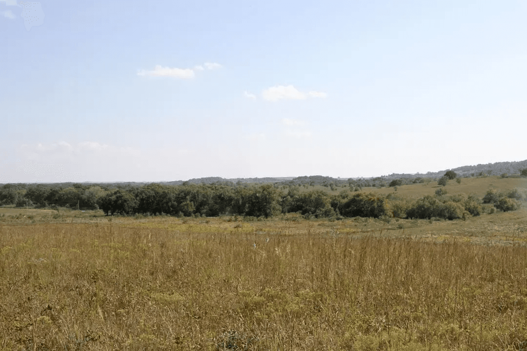 Cowboy Meadows — Zero Credit Land owner financed land for sale in Chautauqua County, Kansas photo 5