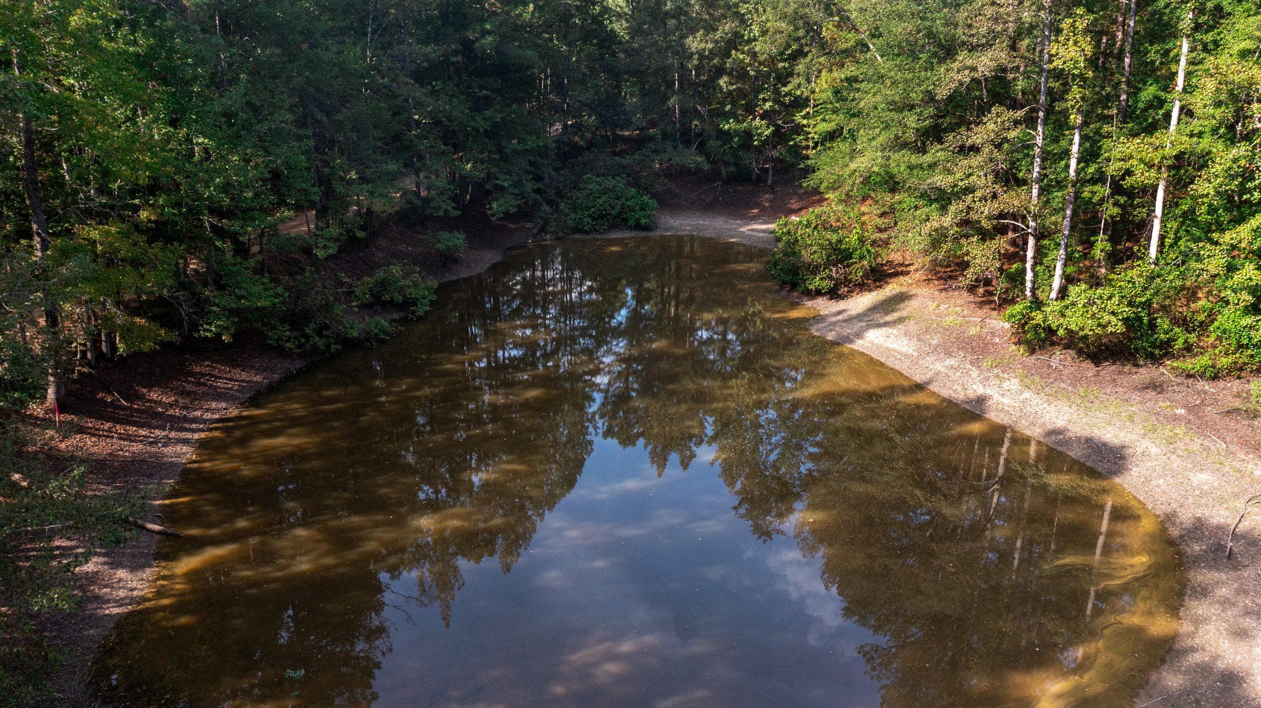 Willow Grove — Zero Credit Land owner financed land for sale in Lamar County, Alabama photo 37