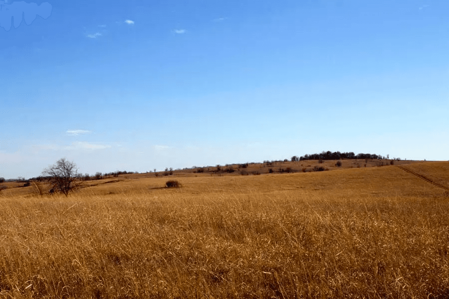 Cowboy Meadows — Zero Credit Land owner financed land for sale in Chautauqua County, Kansas photo 14