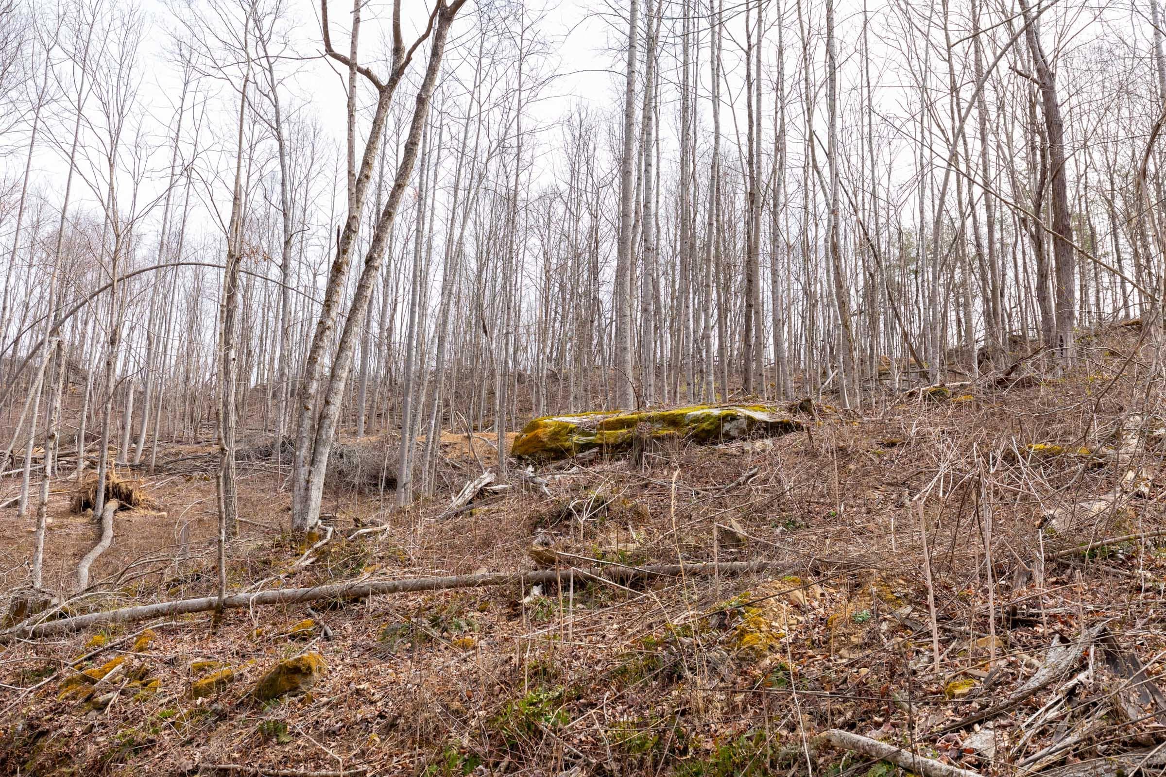 Creek Hollow Phase 1 — Zero Credit Land owner financed land for sale in Rockcastle County, Kentucky photo 27