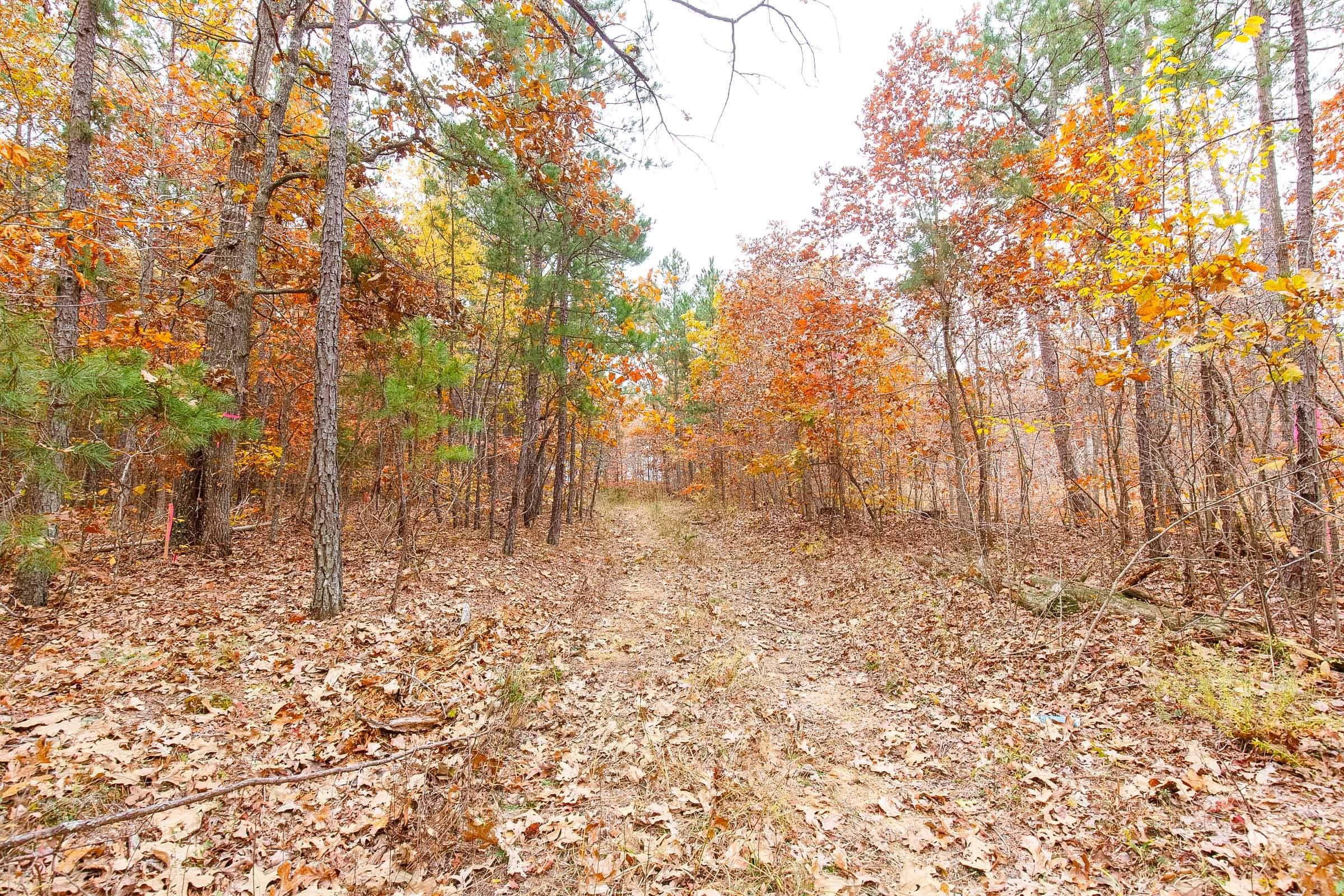 Hawk Crest — Zero Credit Land owner financed land for sale in Reynolds County, Missouri photo 6