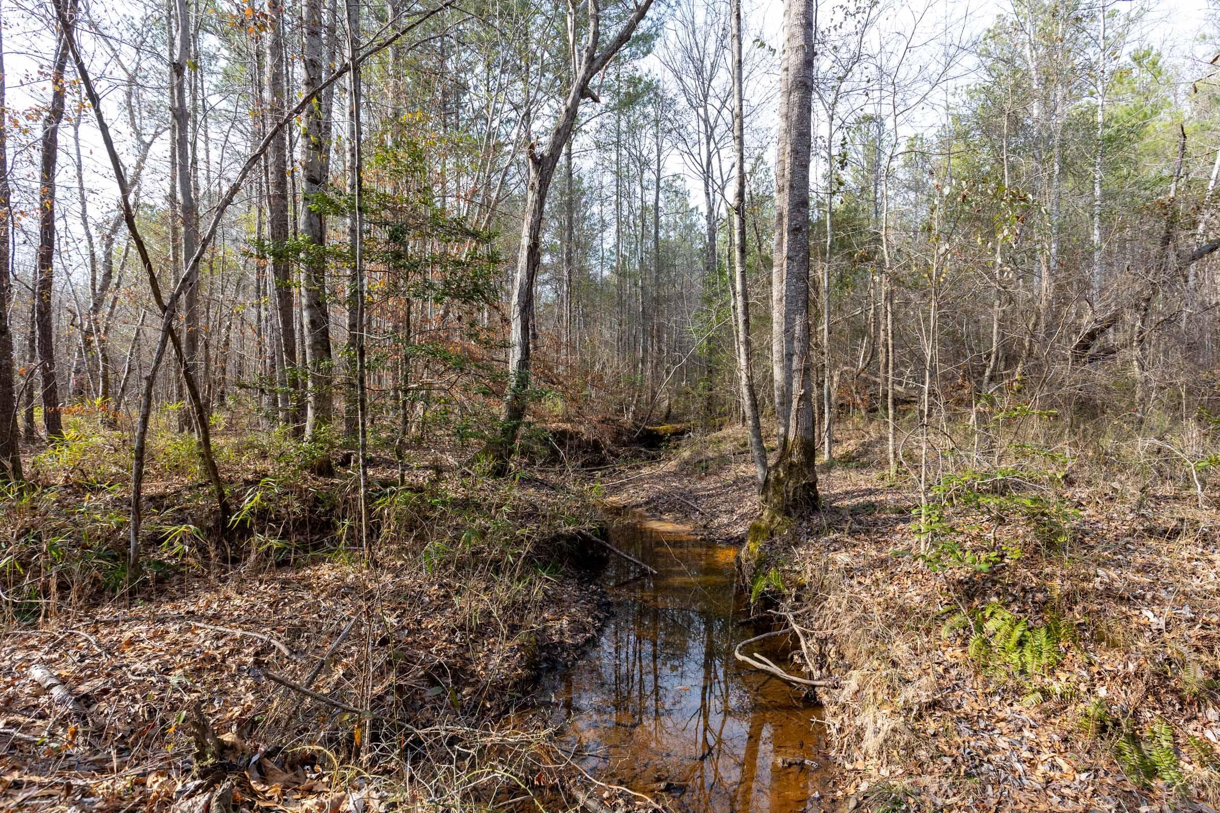 Baker Creek — Zero Credit Land owner financed land for sale in Fayette County, Alabama