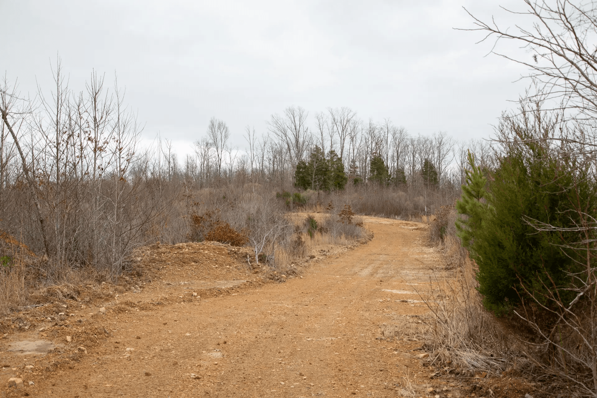 South Wind Ranch — Zero Credit Land owner financed land for sale in Perry County, Tennessee photo 5