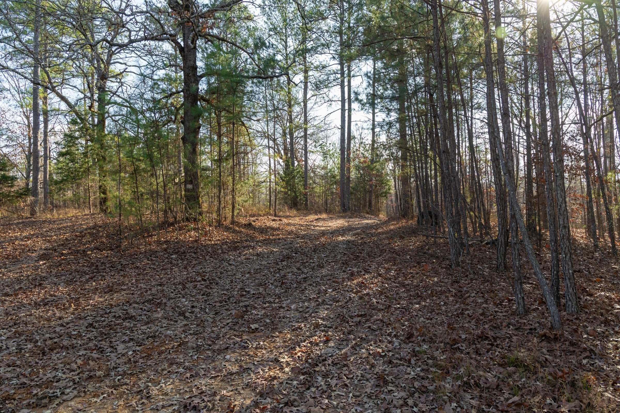 Lighting Ridge — Zero Credit Land owner financed land for sale in Colbert County, Alabama photo 10